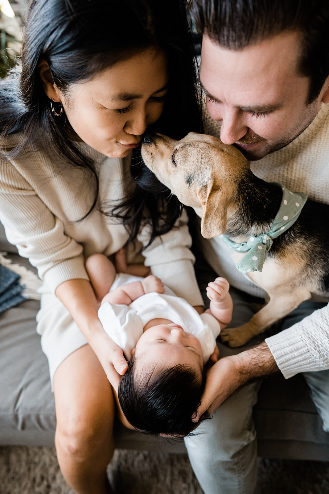 In-home newborn portrait session with dog in Brooklyn