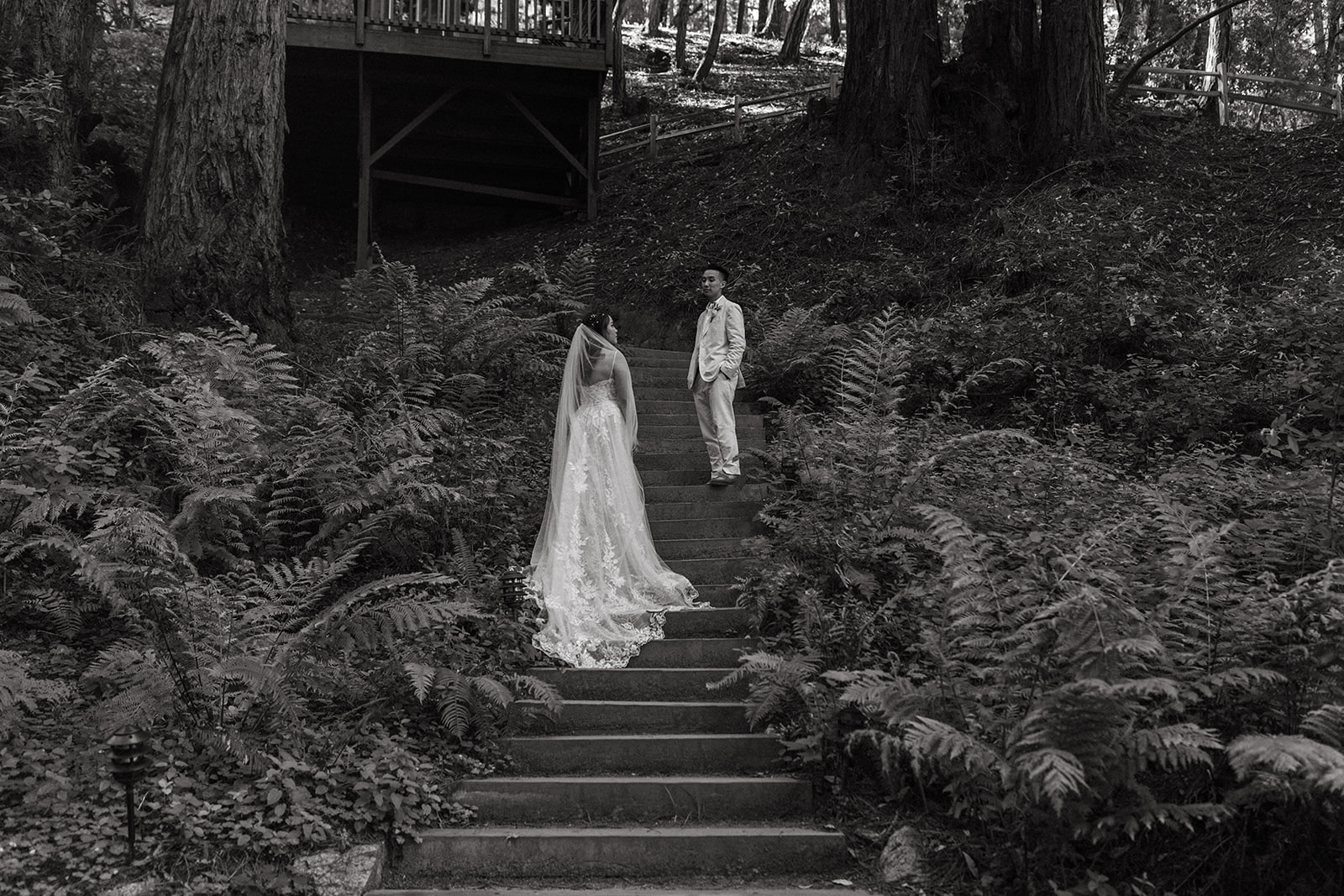 Wedding portraits at Waterfall Lodge and Retreat in Ben Lomond, CA