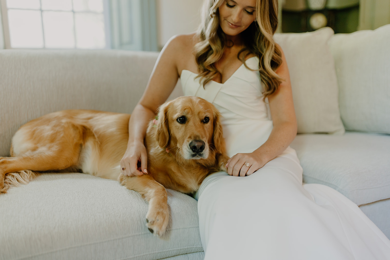 bride with dog on wedding day