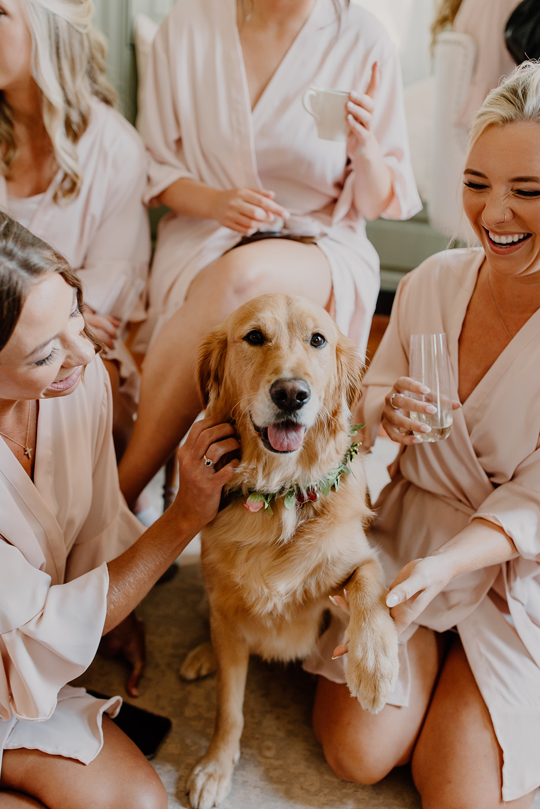 bridesmaids with dog on wedding day