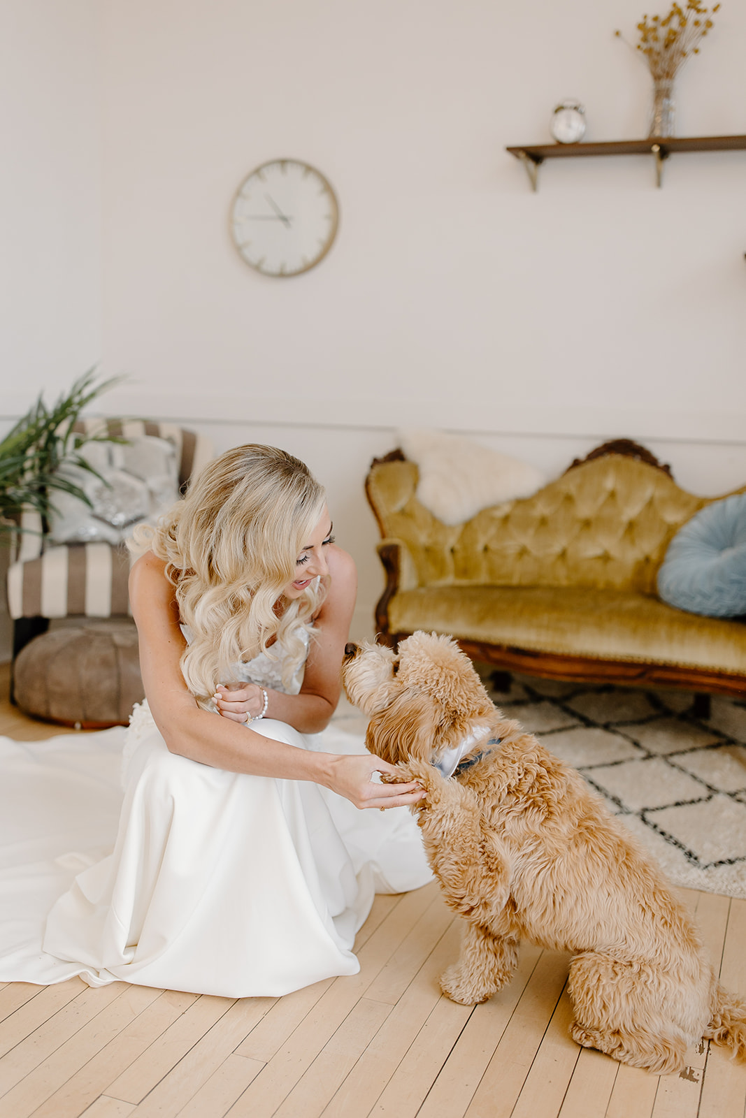 Bride gives her dog a quick kiss after putting on her wedding dress.