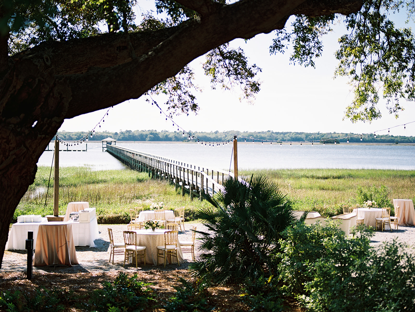 wedding reception at lowndes grove in charleston