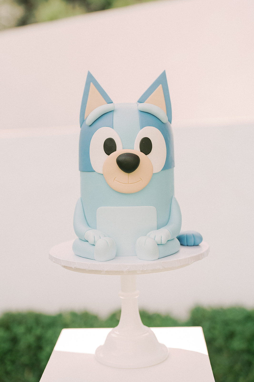Bluey birthday cake