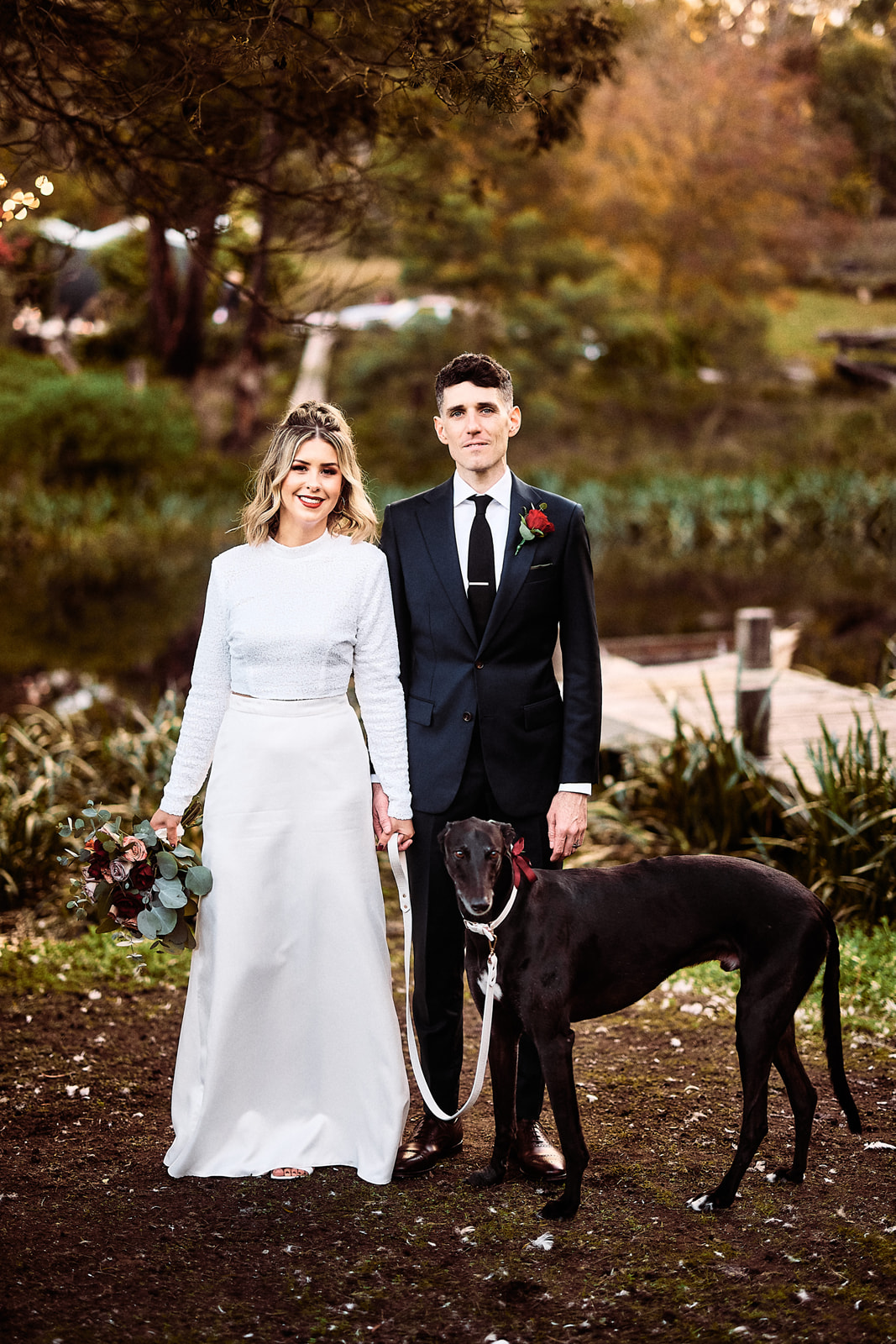 Greyhound wedding photo
