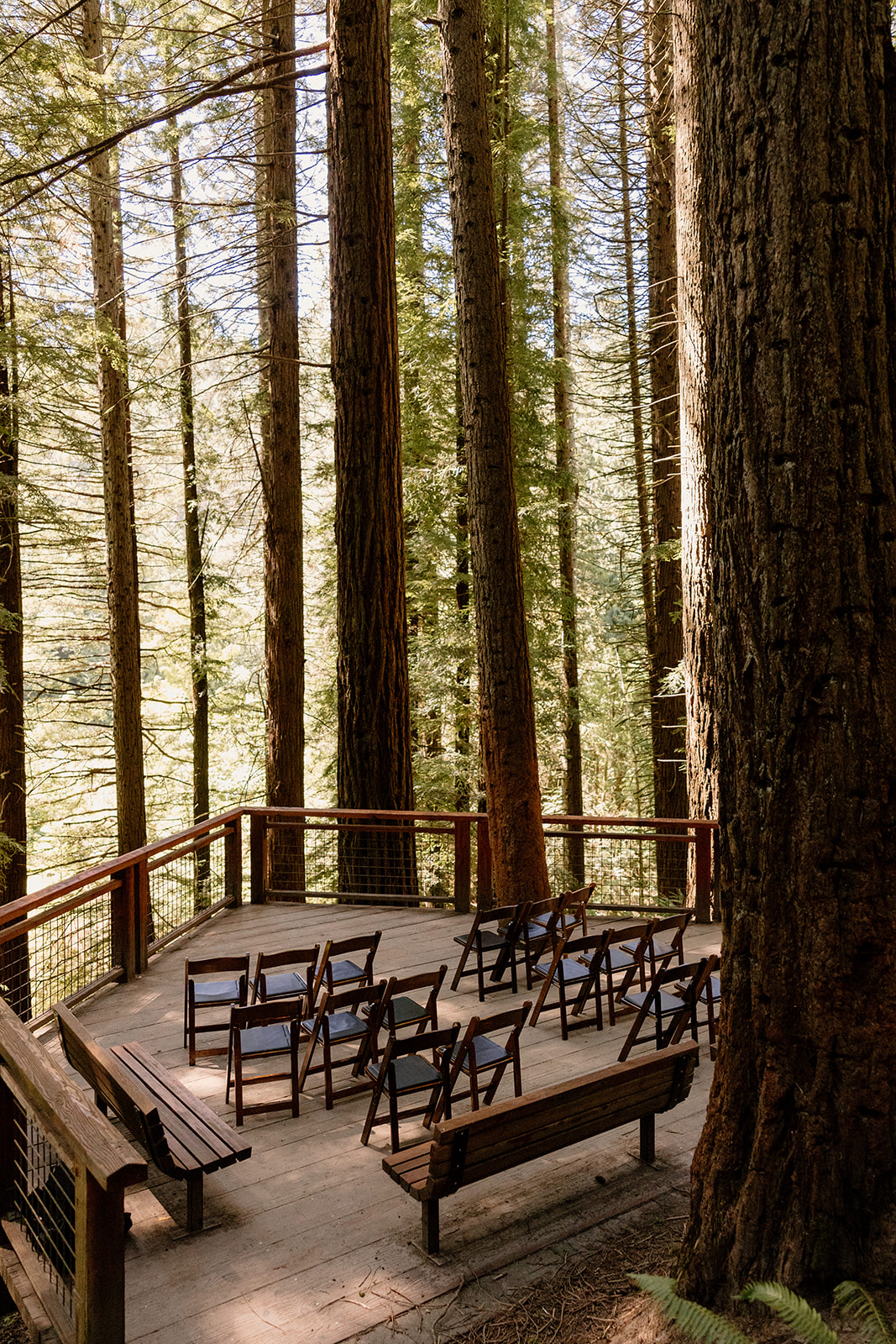 A wedding ceremony setup at the Redwood Deck in Hoyt Arboretum. 