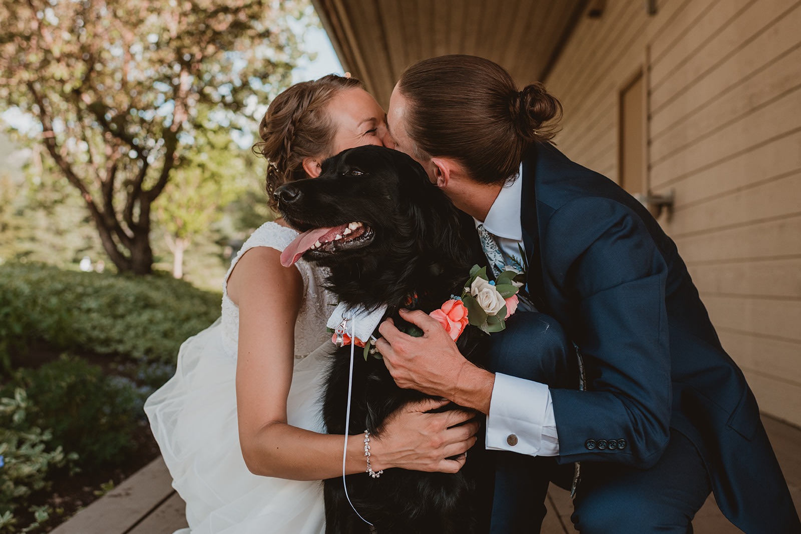 Bride and groom kiss with their dog on their wedding day in Vail, Colorado  