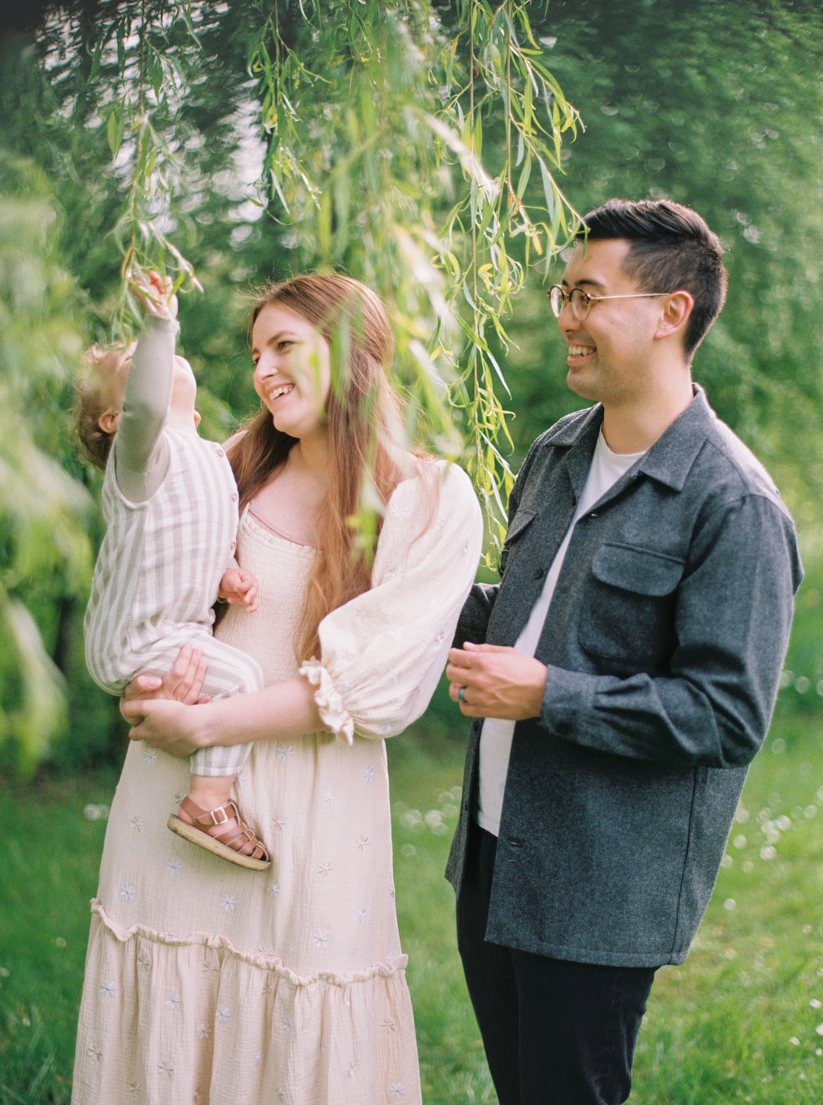 a young family looks at a willow tree during spring in Wilsonville Oregon