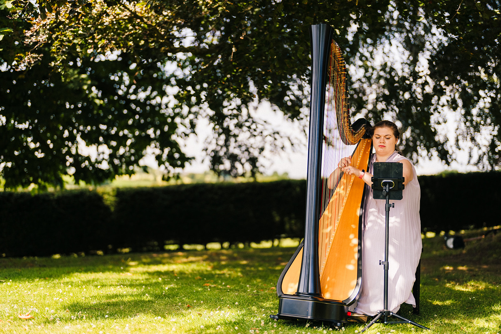 Shottle Hall Wedding Photography - a harpist playing music during the wedding ceremony