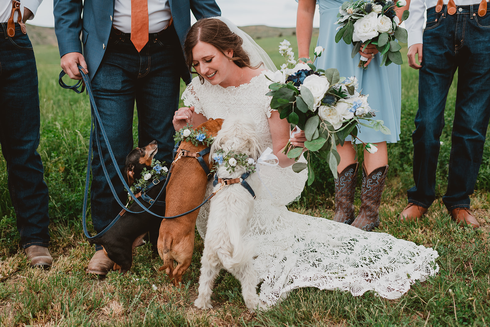 Couple posed with their 3 dogs in their wedding attire at their wedding in Steamboat Springs, CO 
