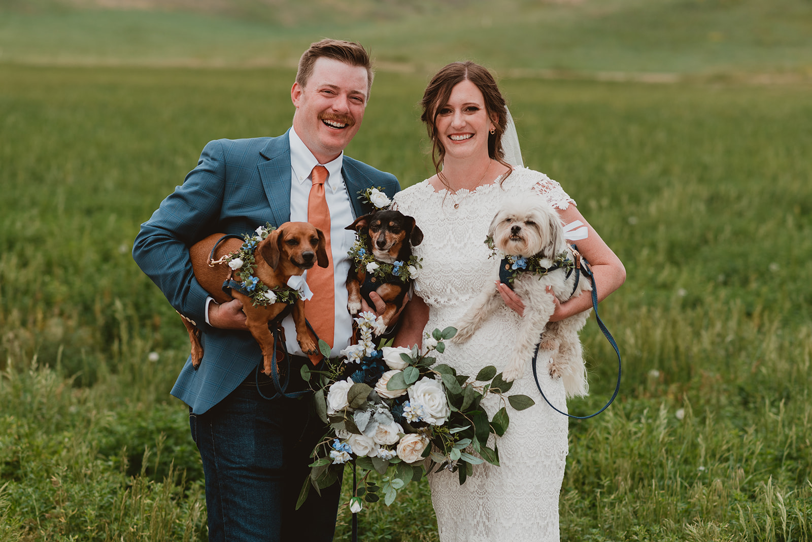 Couple posed with their 3 dogs in their wedding attire at their wedding in Steamboat Springs, CO 