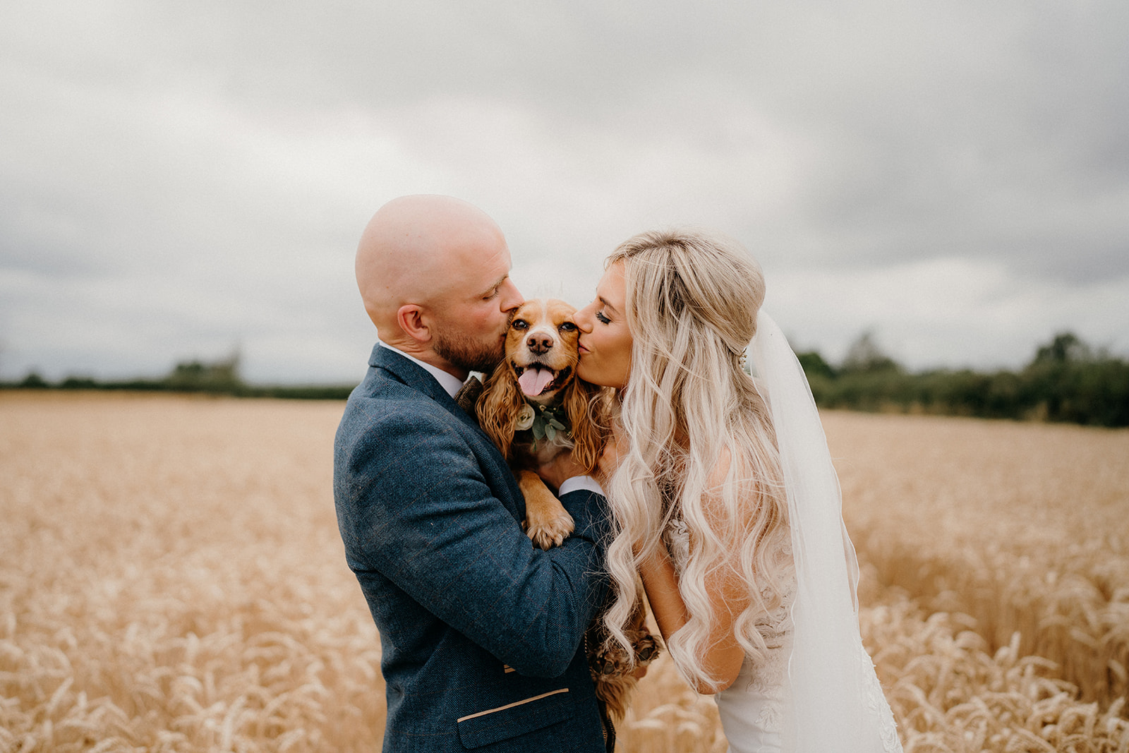 Bride and groom giving their cocker spaniel dog a kiss