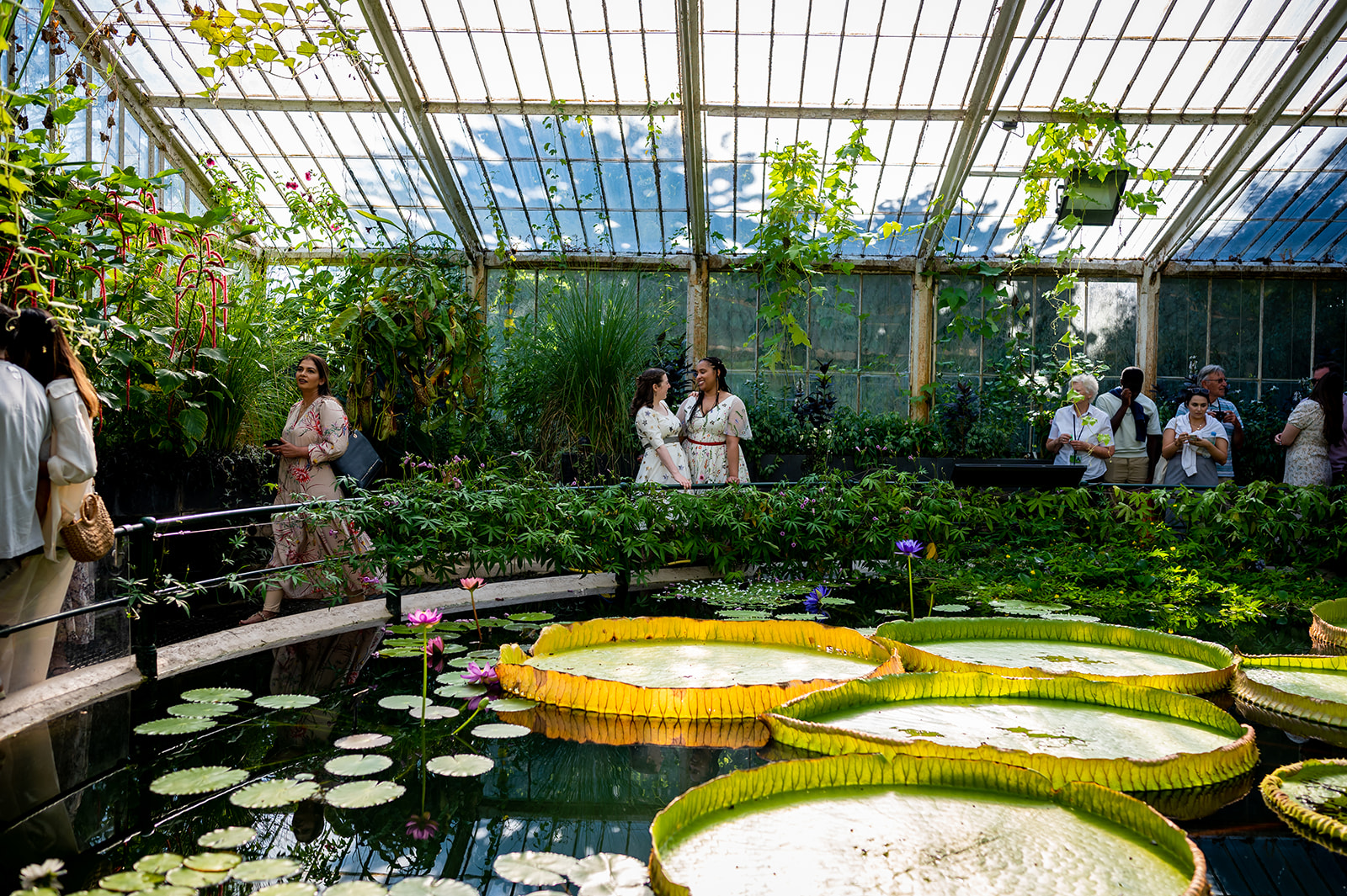 Two brides standing in front of a giant  Lily at the Lily House at Kew Gardens on their wedding day.