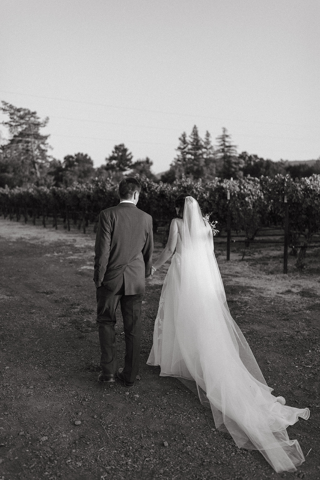 A couple who gets married at Tre Posti in Napa California