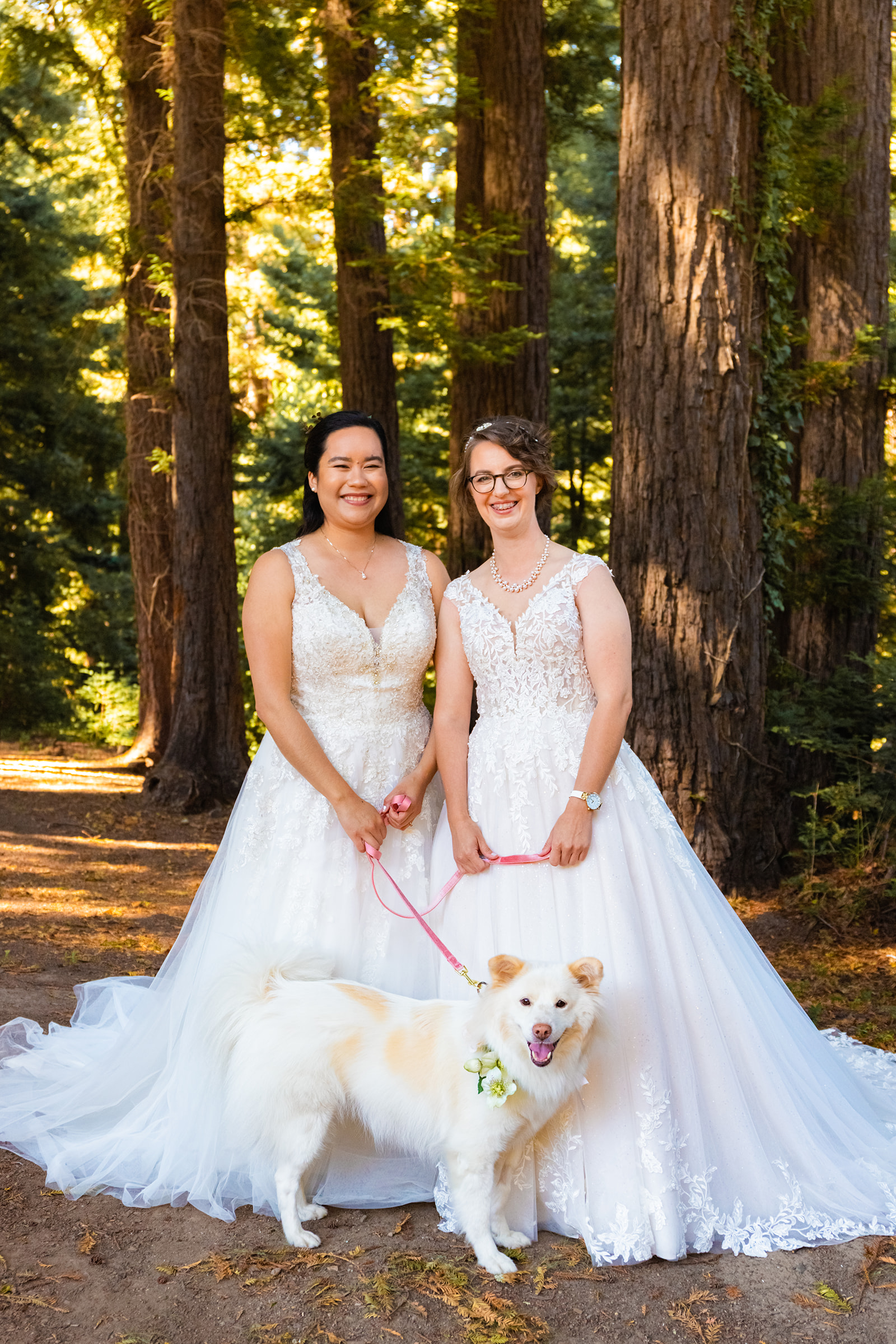Two brides in wedding dresses with their dog of honor