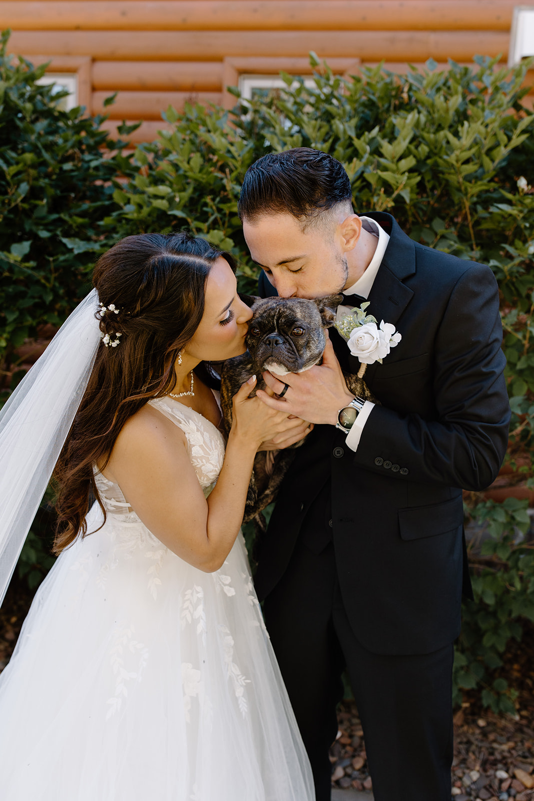 Bride and groom kiss their pug in front of a log cabin
