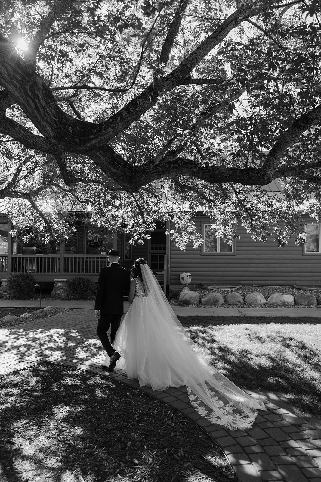 Bride and groom walk away under a tree