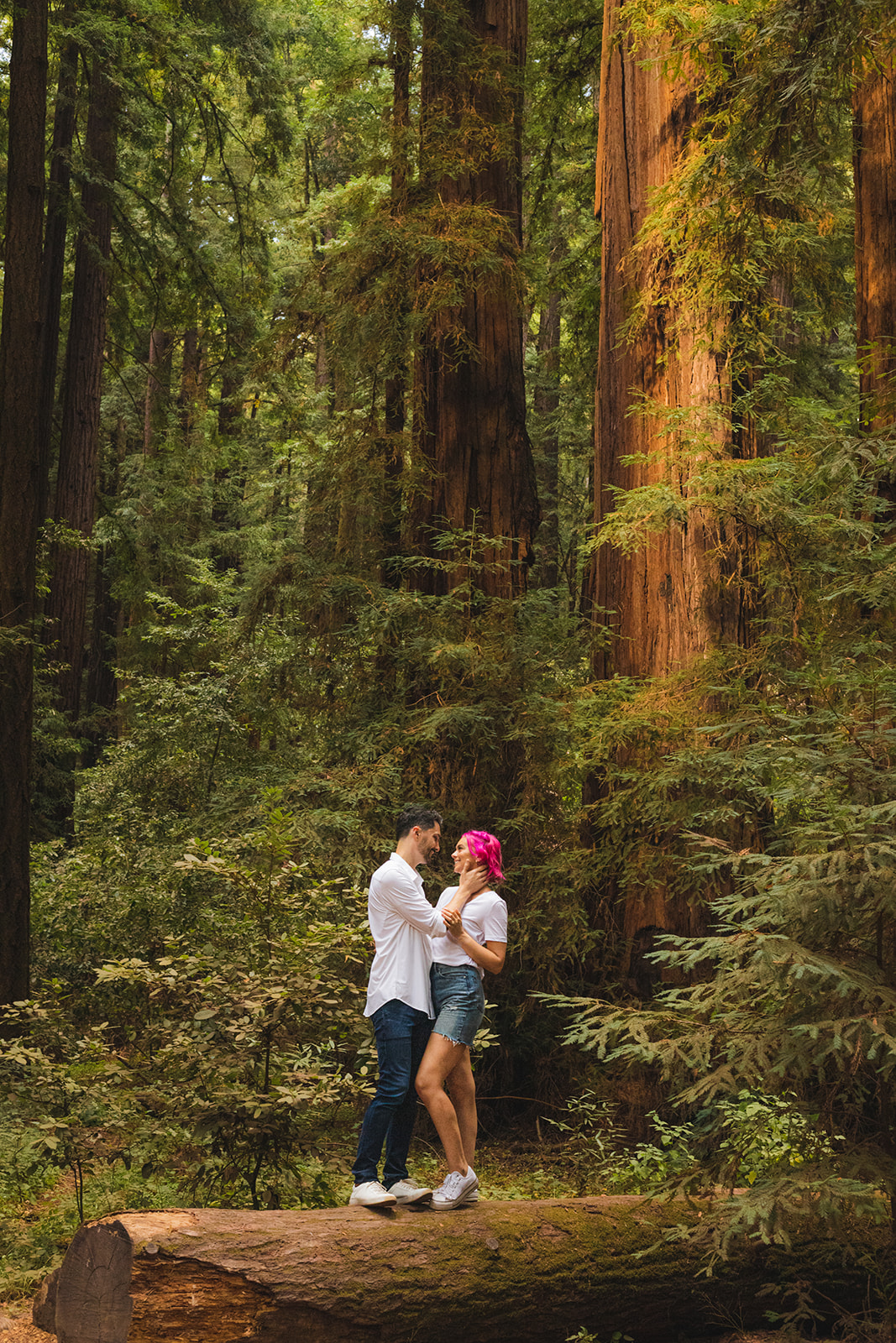 santa cruz redwoods engagement photos