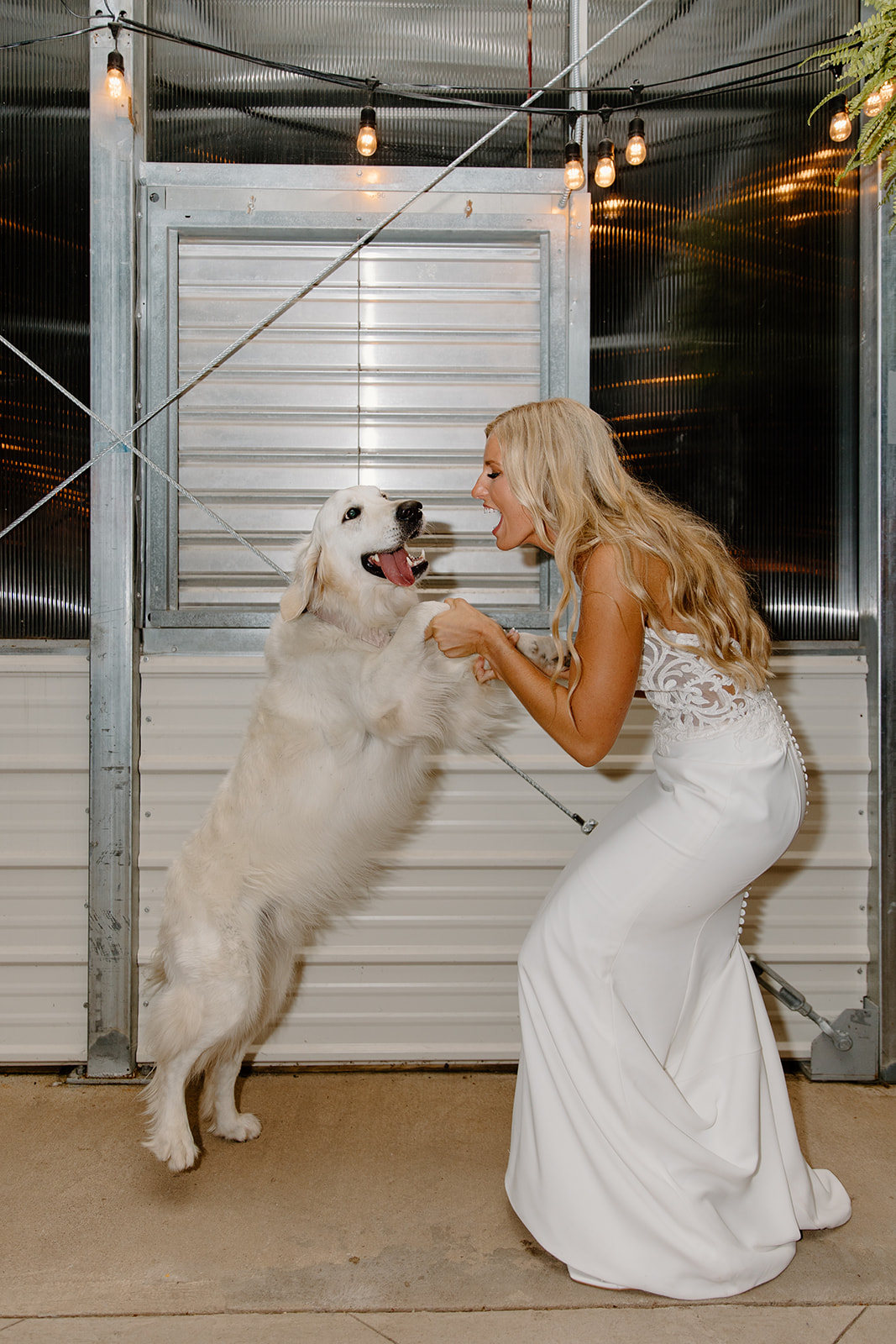 Bride dances with her dog