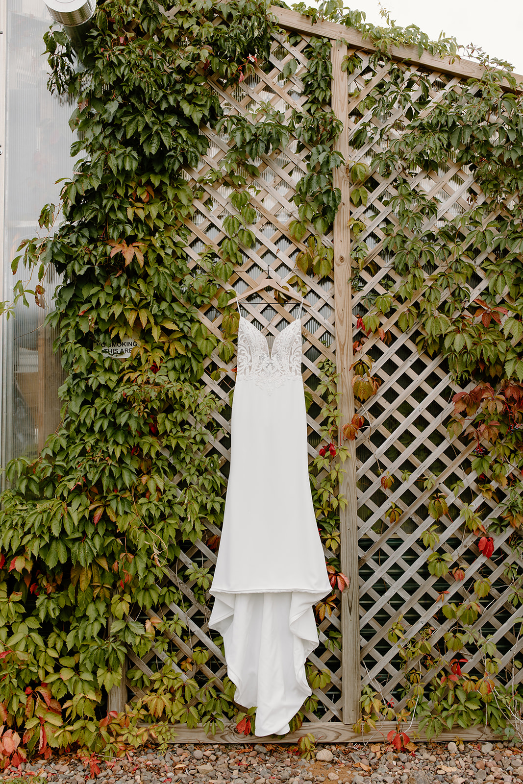 Wedding dress hangs from a lattice covered in vines