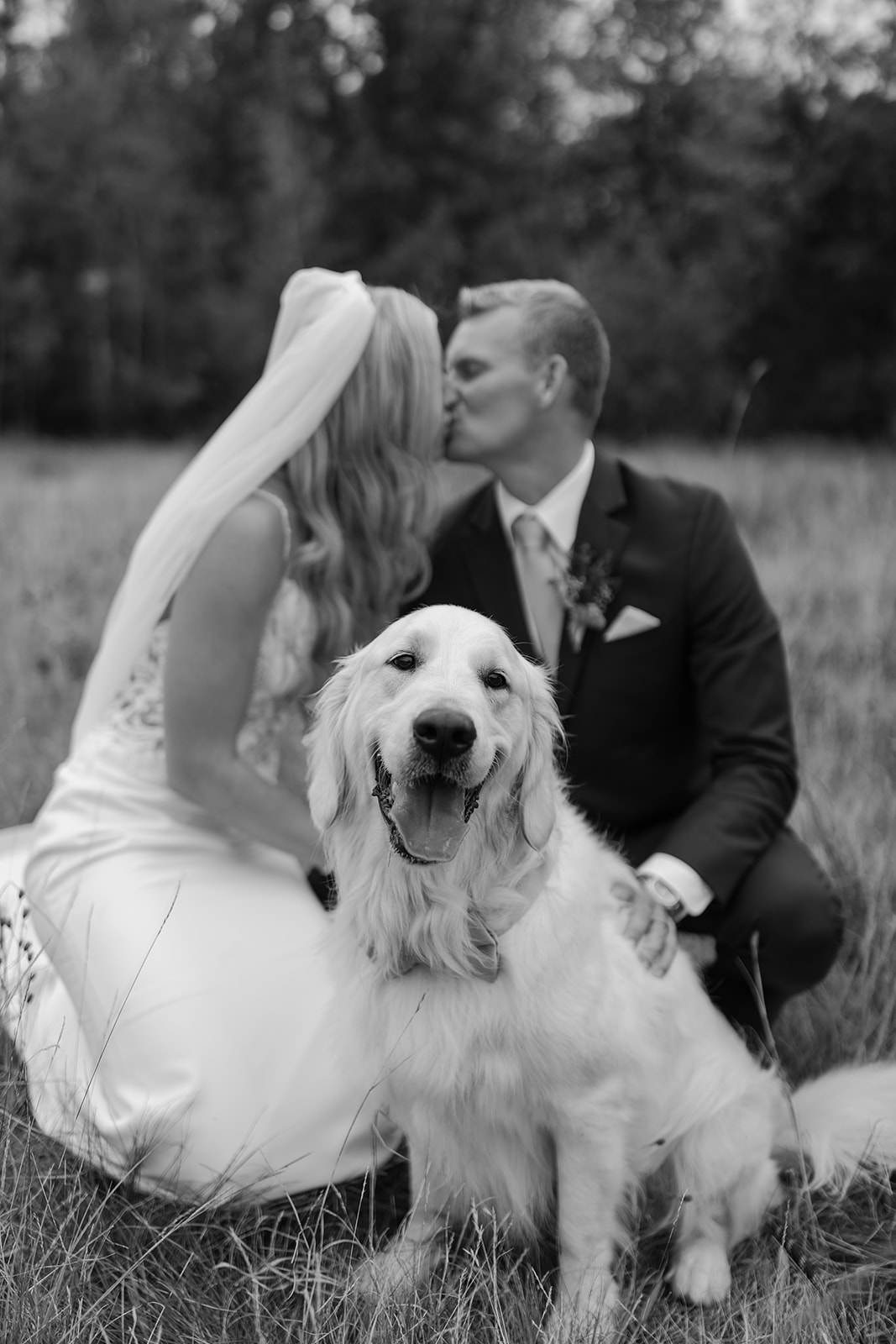Bride and groom kissing behind their dog