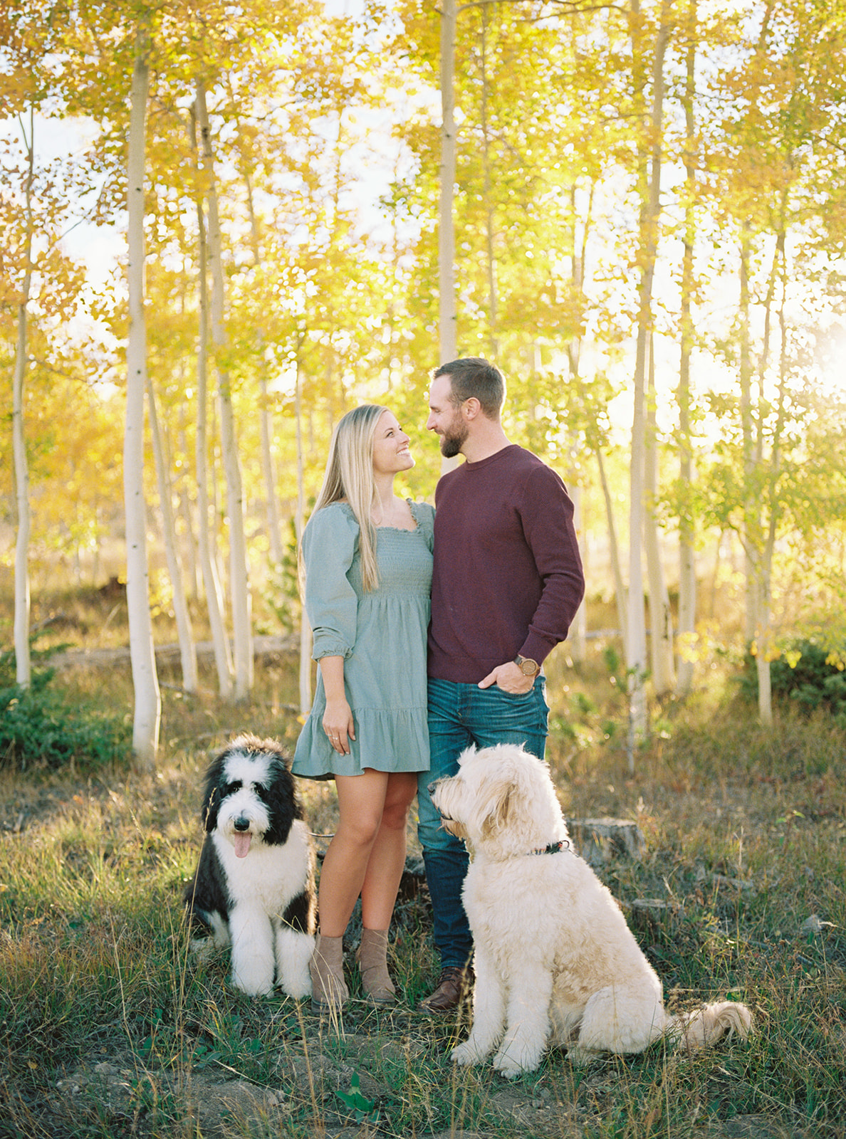 Film engagement photo of couple with two dogs in the Fall in Colorado