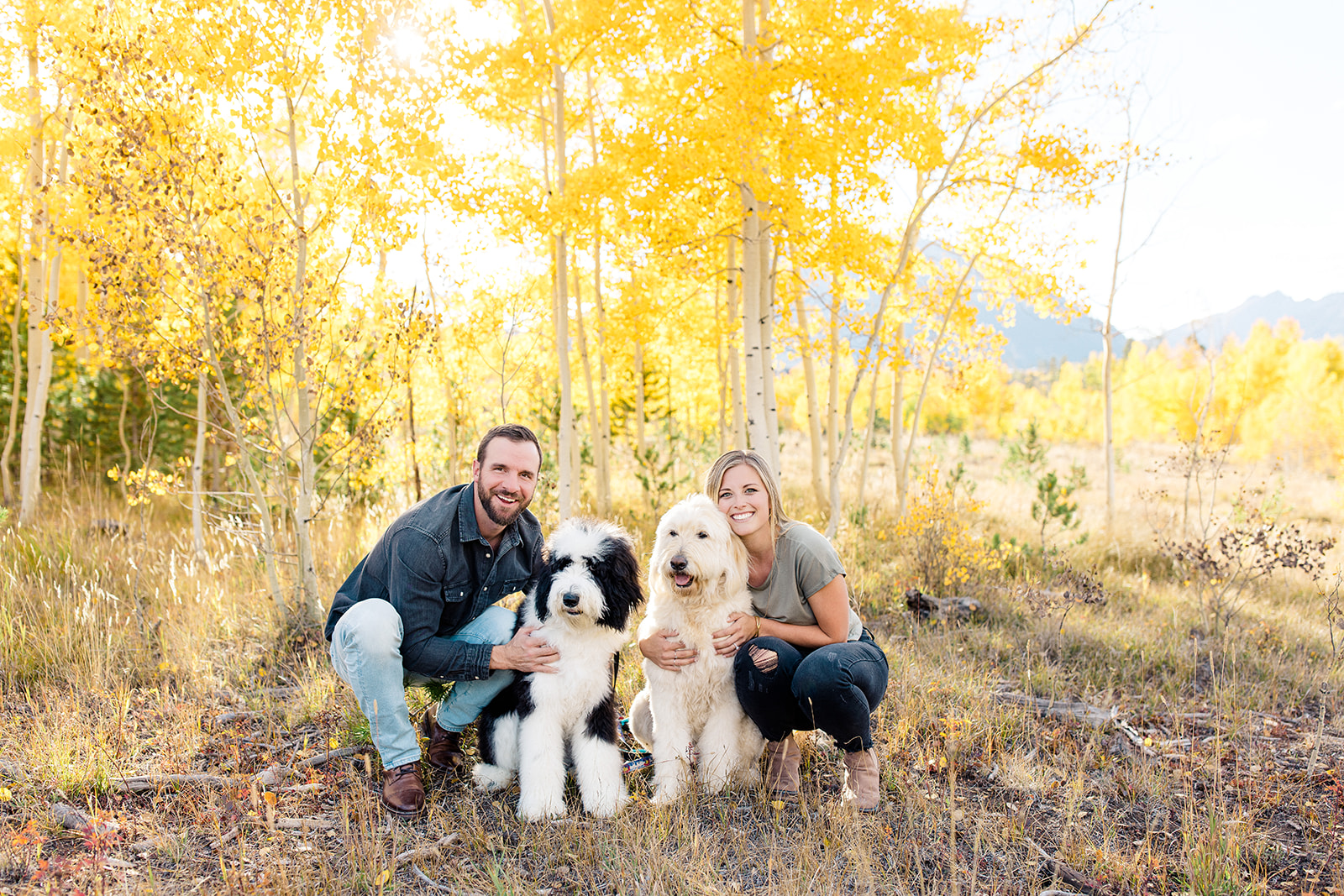 Engagement photo of couple with two dogs in yellow changing aspen leaves in Silverthorne, CO