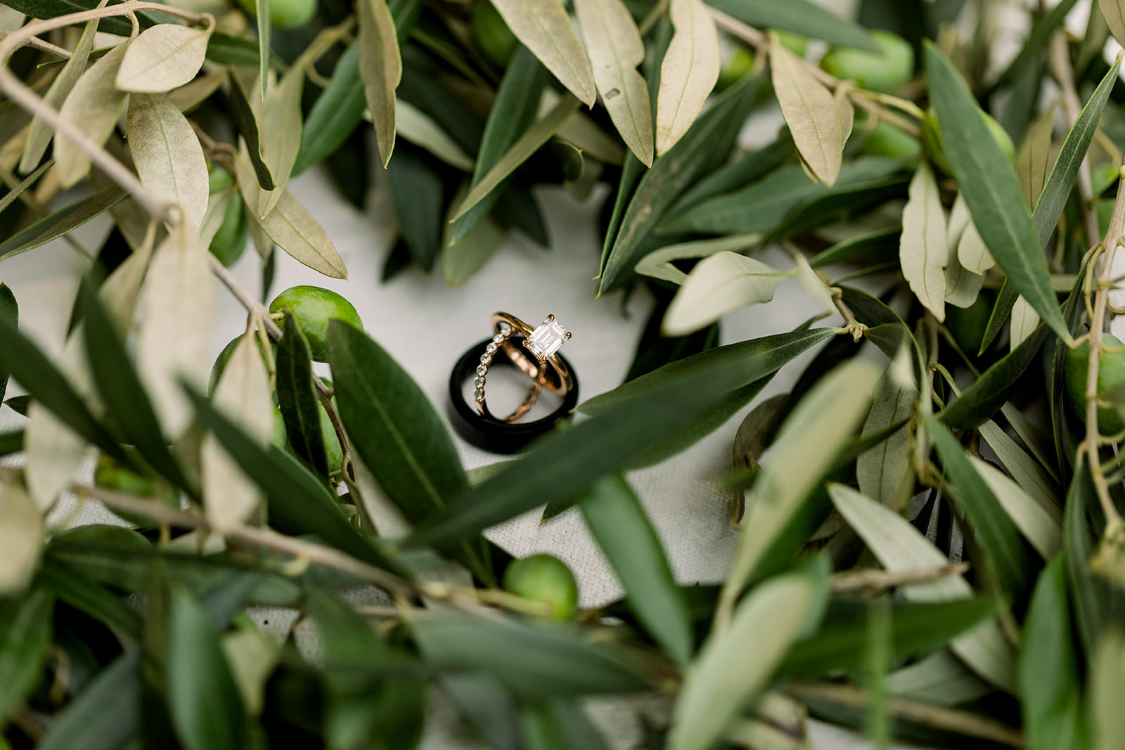 Rings and Olive Branches