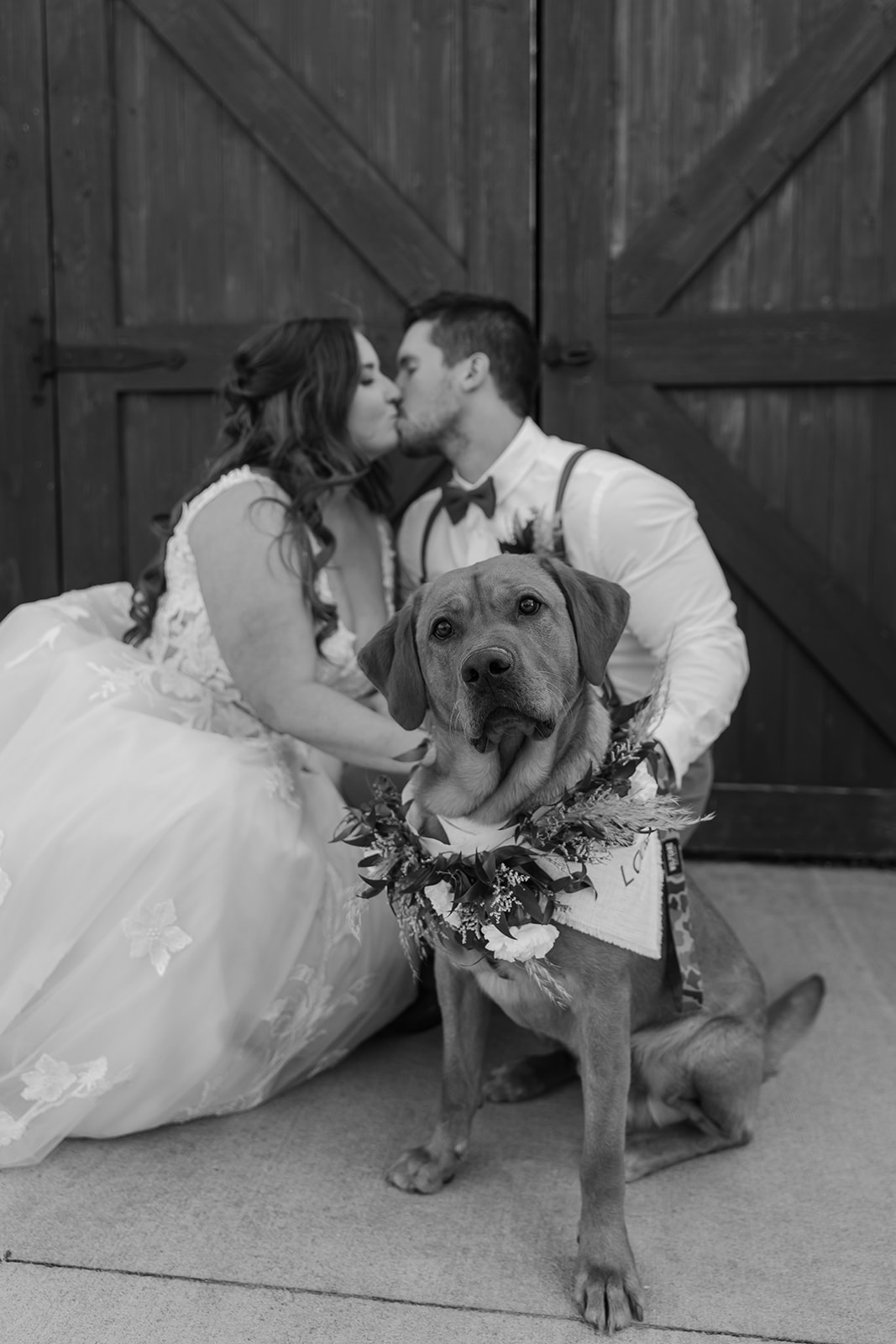 Bride and groom kiss behind dog