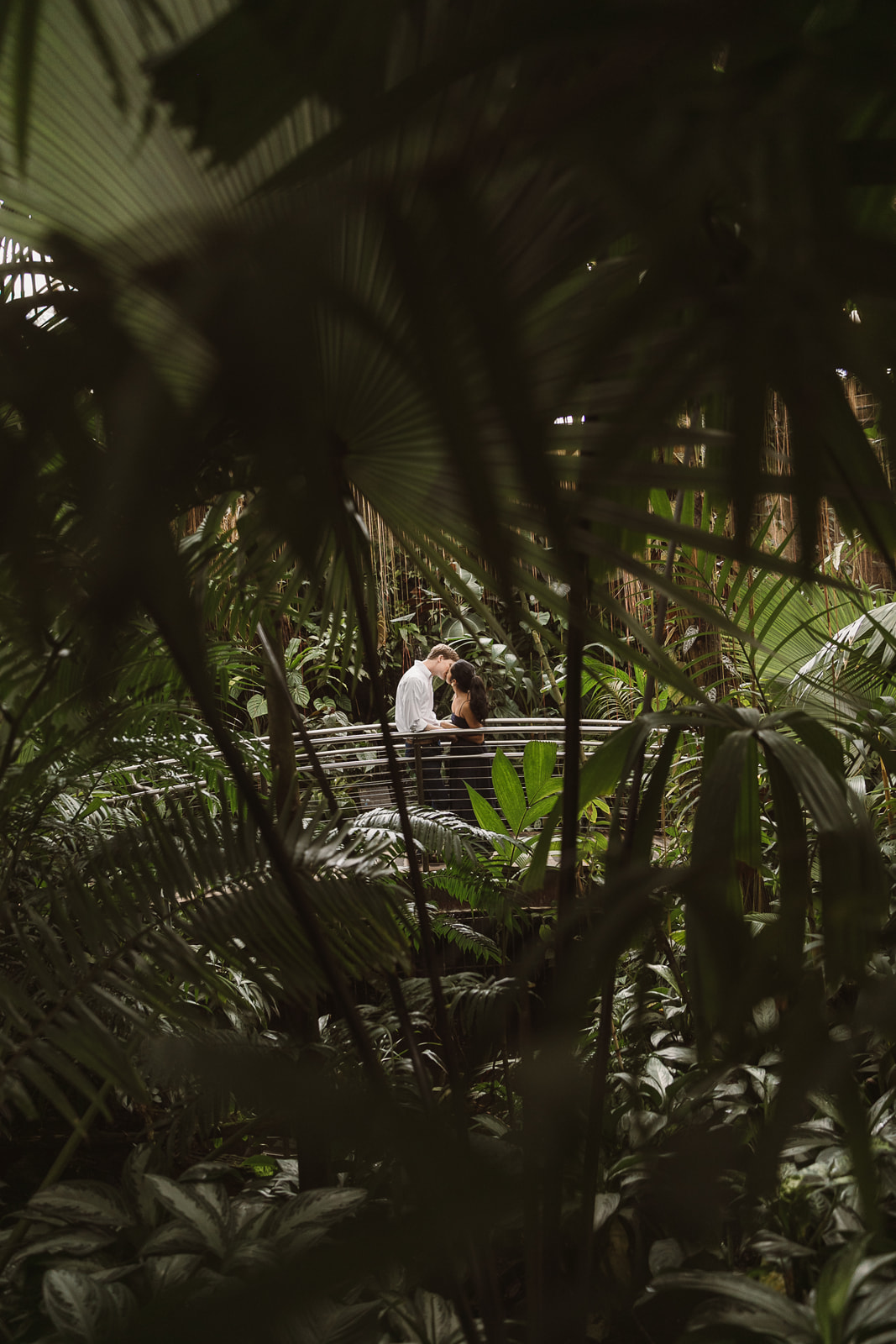 a couples engagement photos in tropical greenhouse atlanta