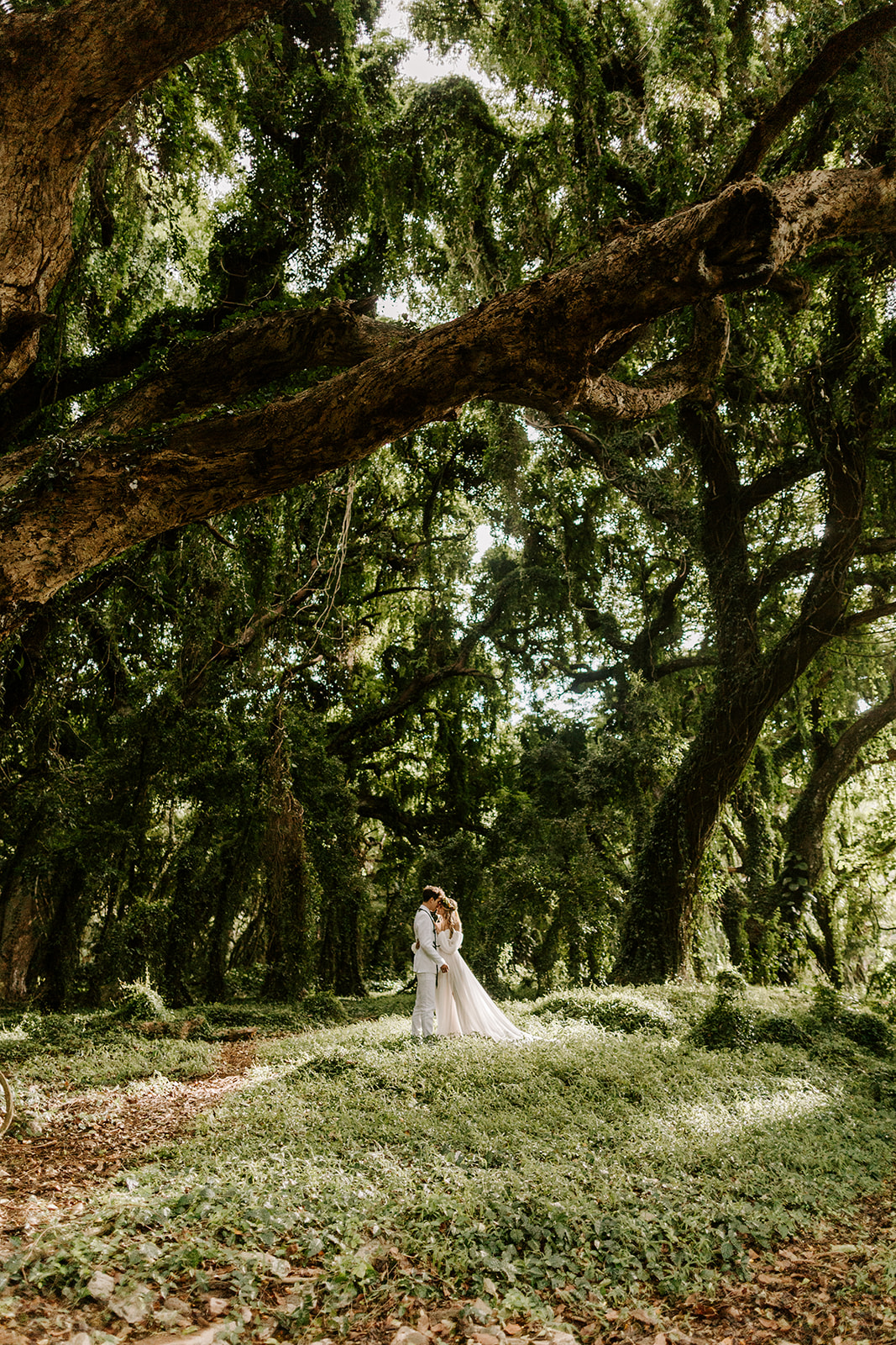 A couple who just got married celebrate their Maui elopement in a hawaii forest with lush greenery and jungle 