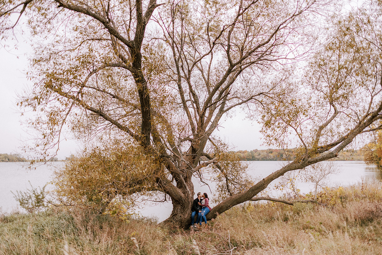 couple sits on a large tree in front of a lake during their late fall madison engagement session