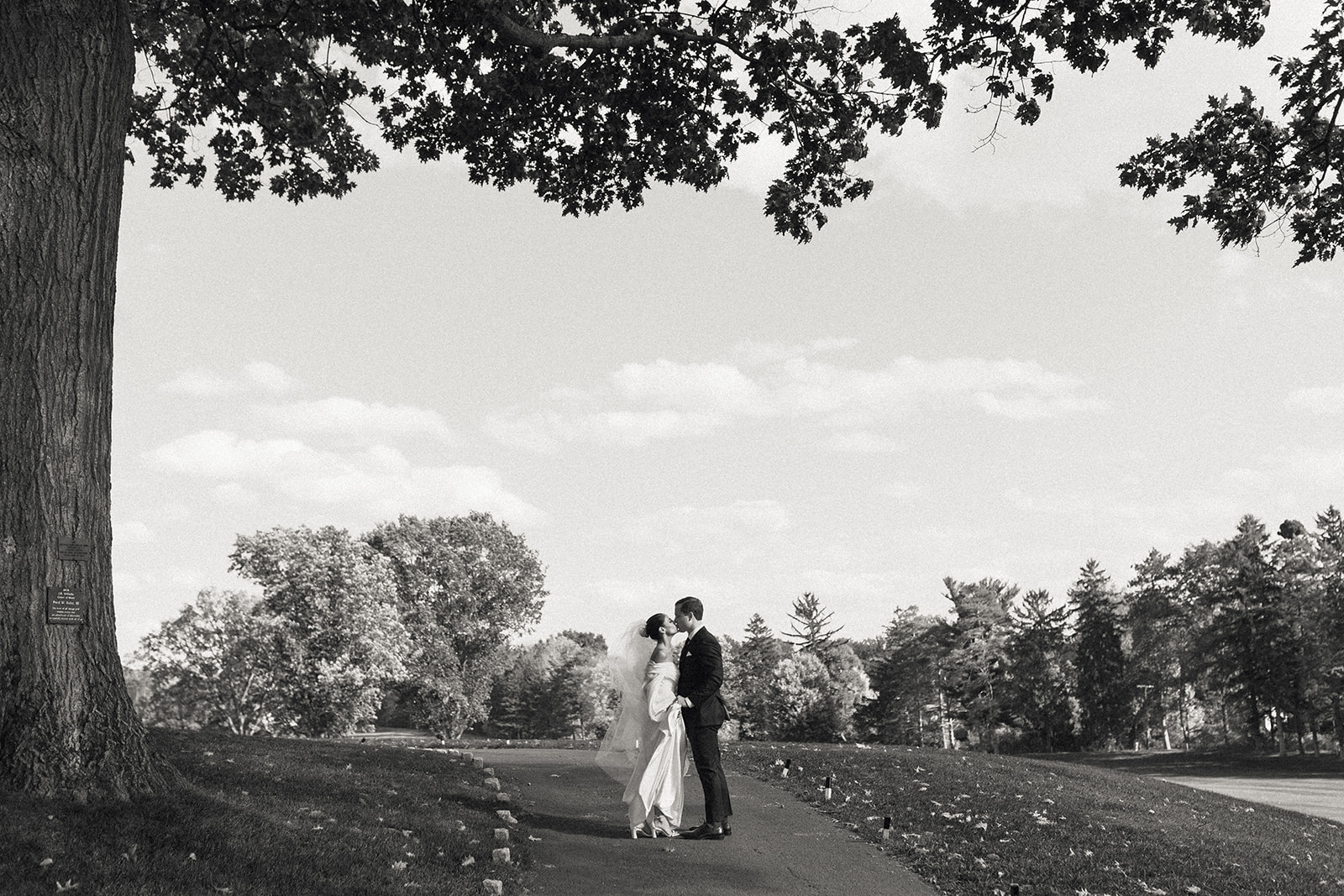 Bride and groom kissing under large oak tree at their Oak Hill Country Club wedding