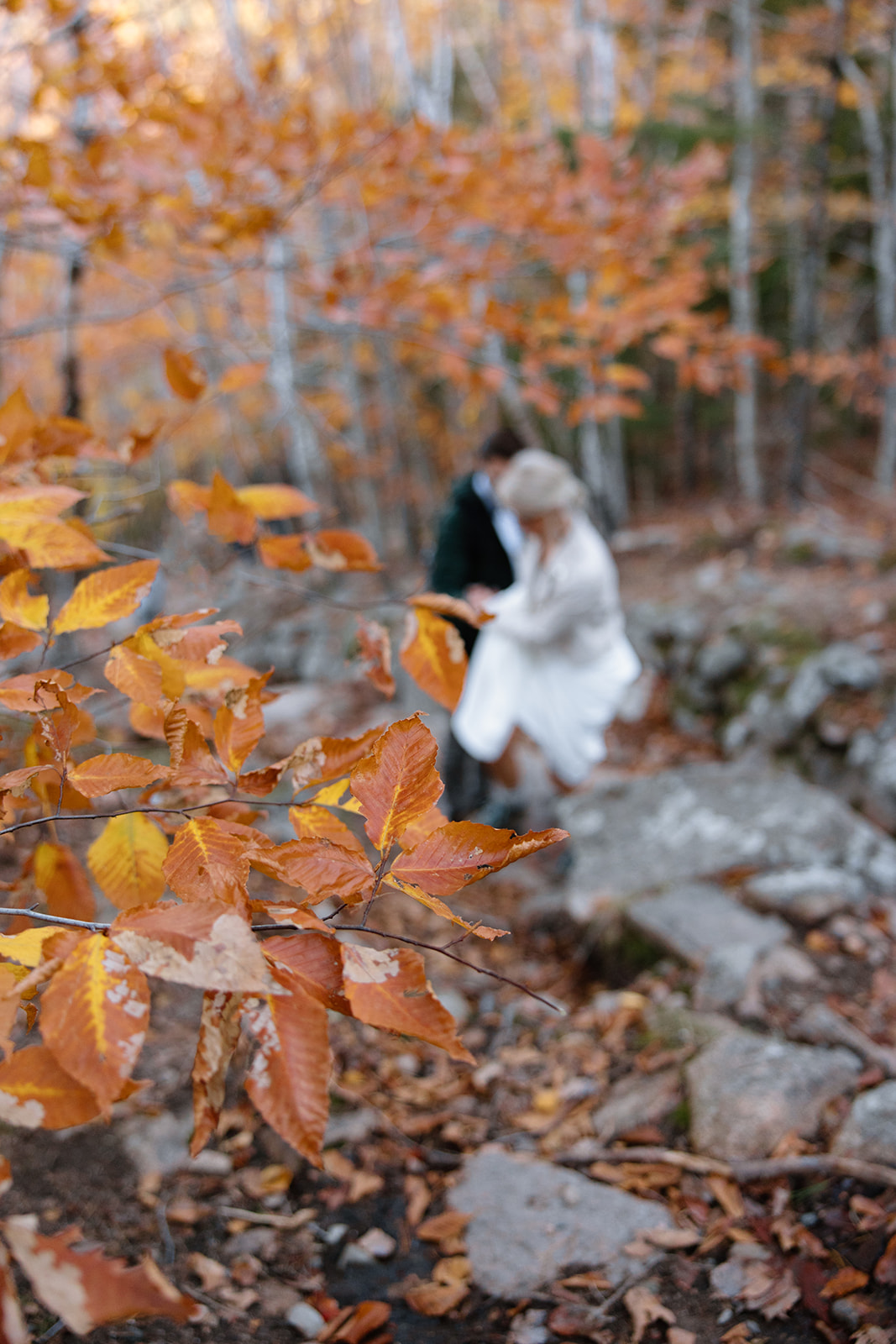 Hiking up Bubble trail in Acadia National Park on wedding day. 