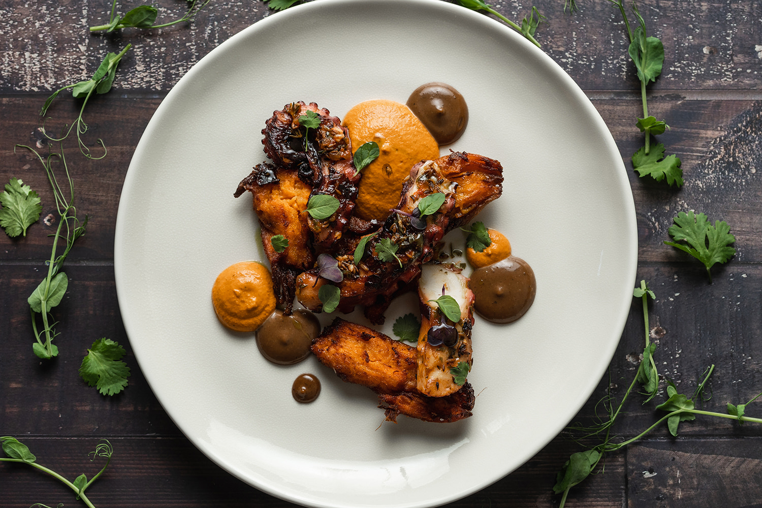 flavorful grilled octopus with creamy sweet potato and a tangy garlic aioli