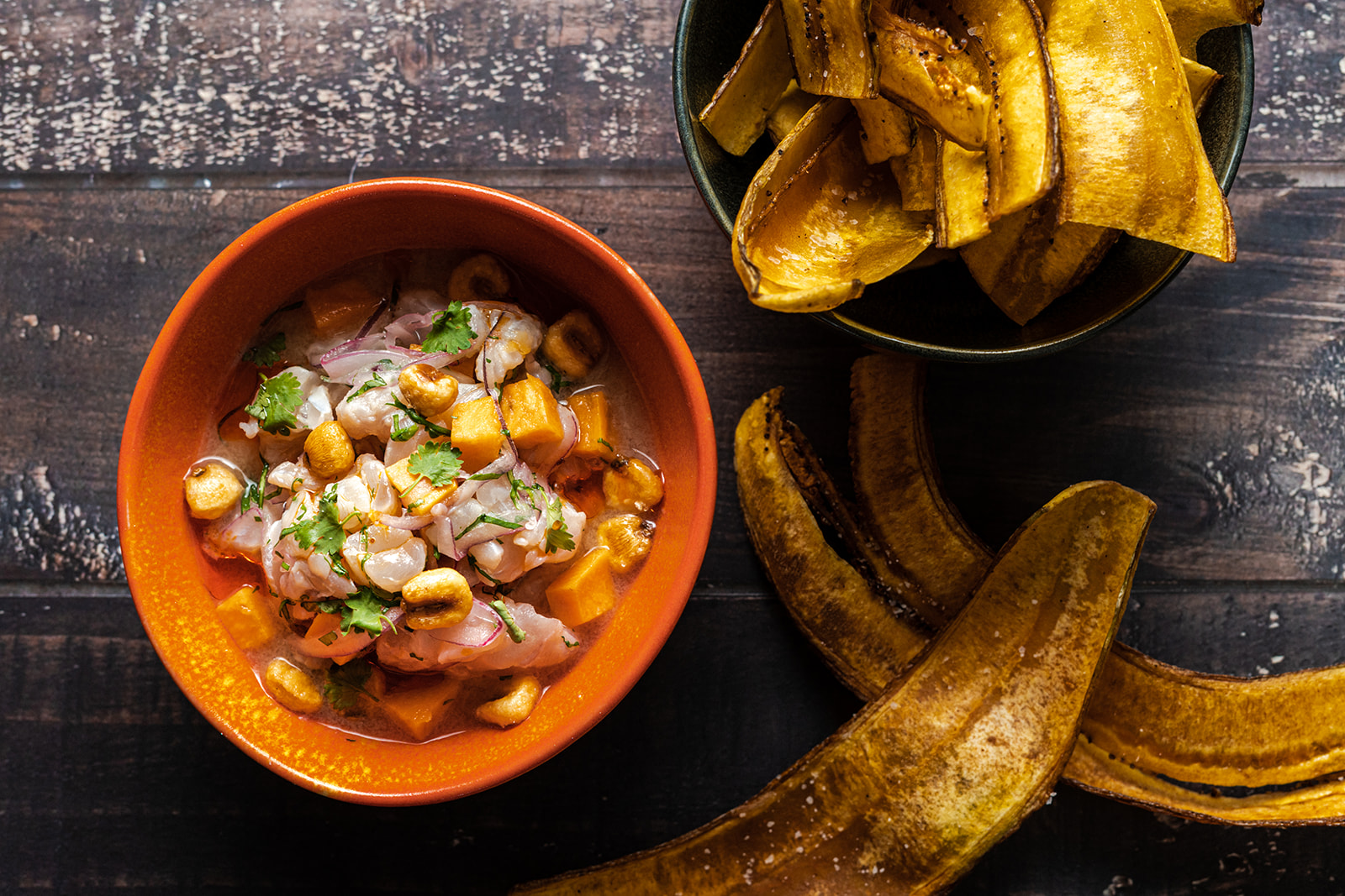 fresh seafood ceviche with the homemade plantain chips