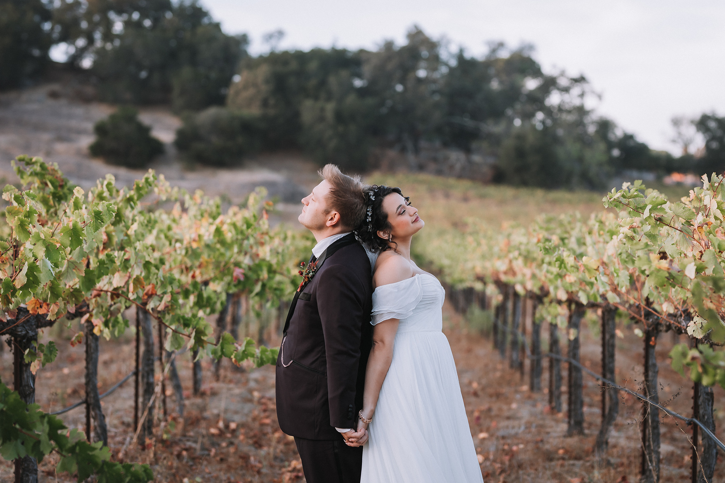 Bride and groom portraits in a vineyard in Northern California