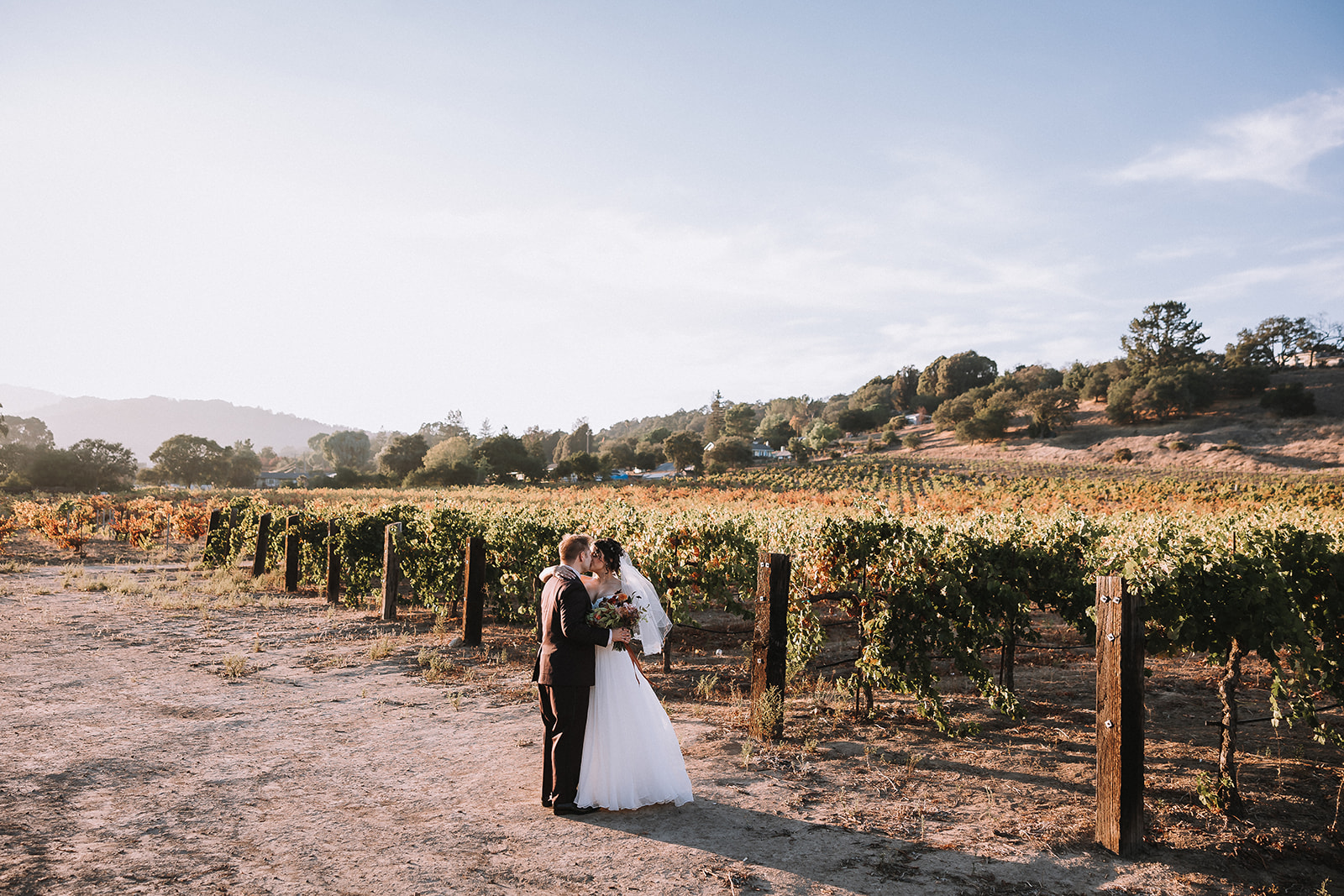 fortino winery wedding in gilroy california