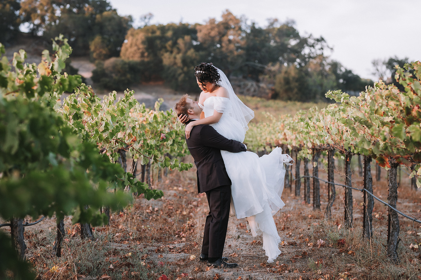 fortino winery wedding in gilroy california