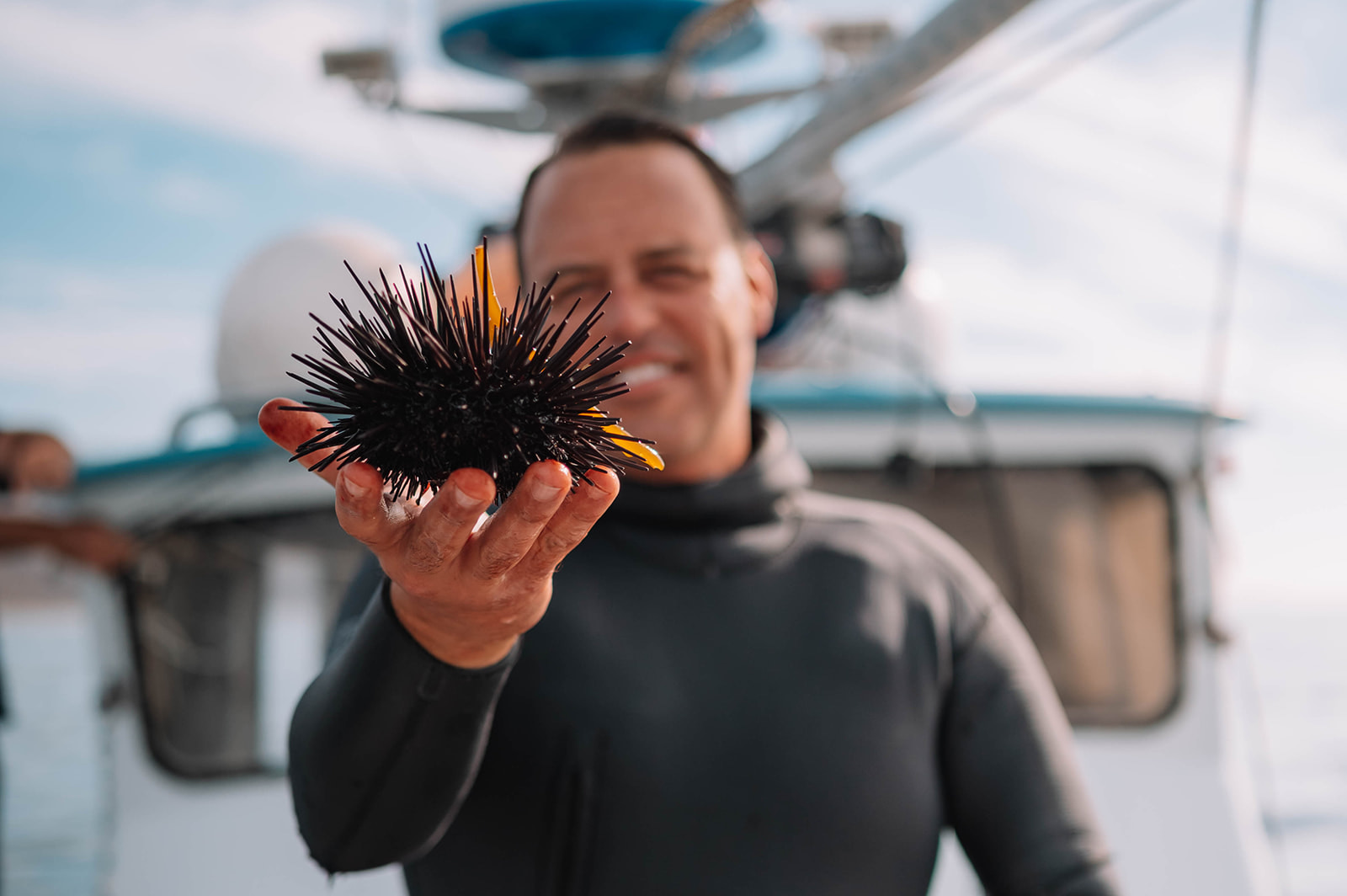 Diver holding a sea urchin on a dive boat