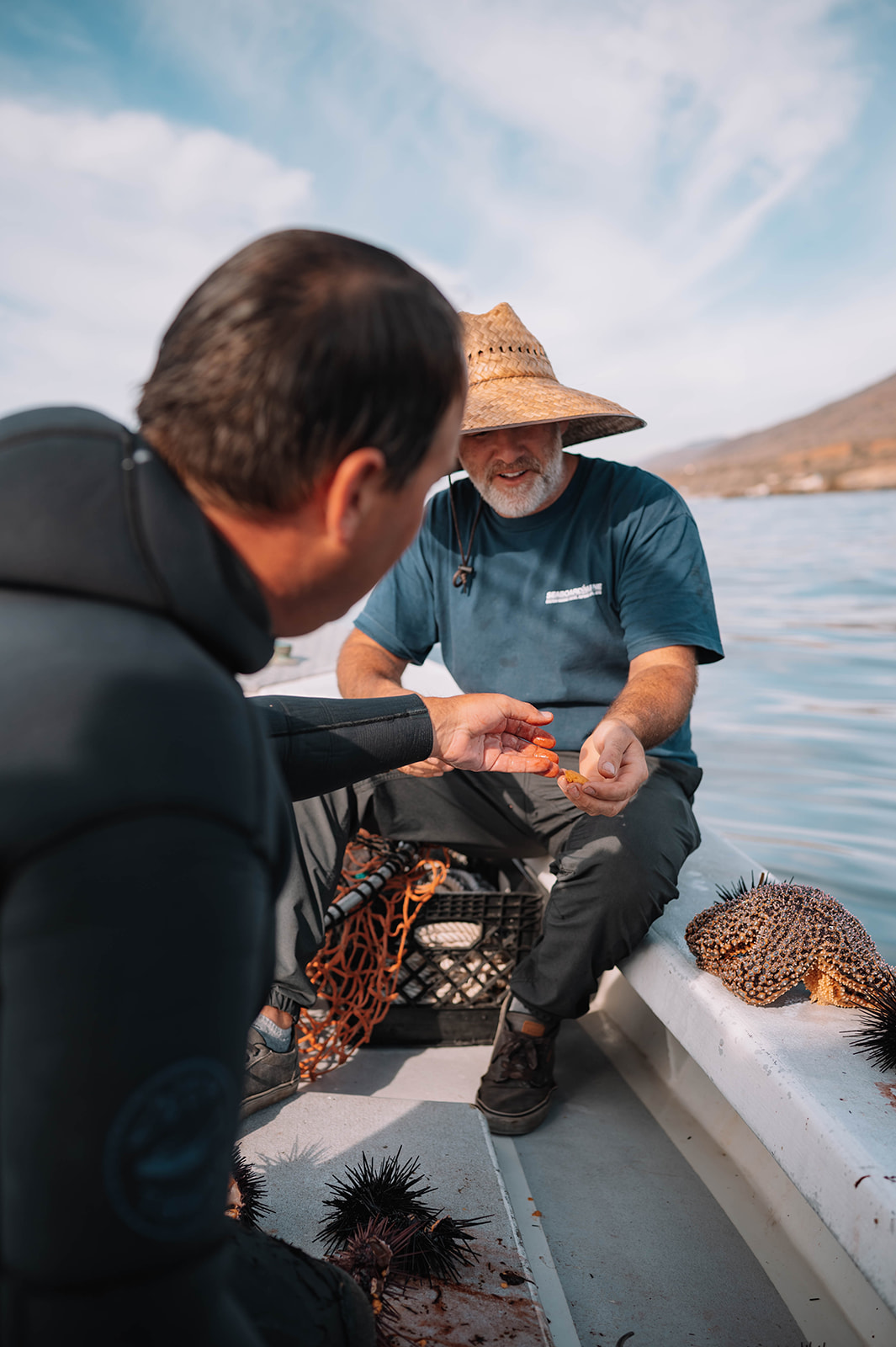 Diver preparing sea urchin to be eaten raw shortly after catching