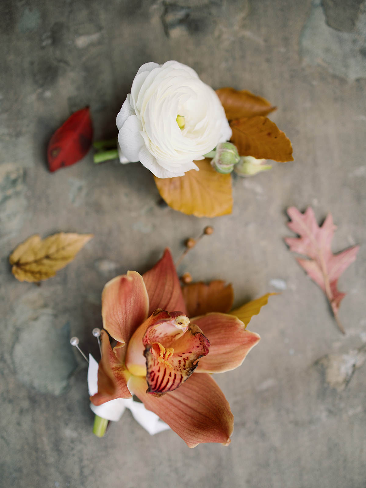 Colby West floral design fall orchid boutonnière 