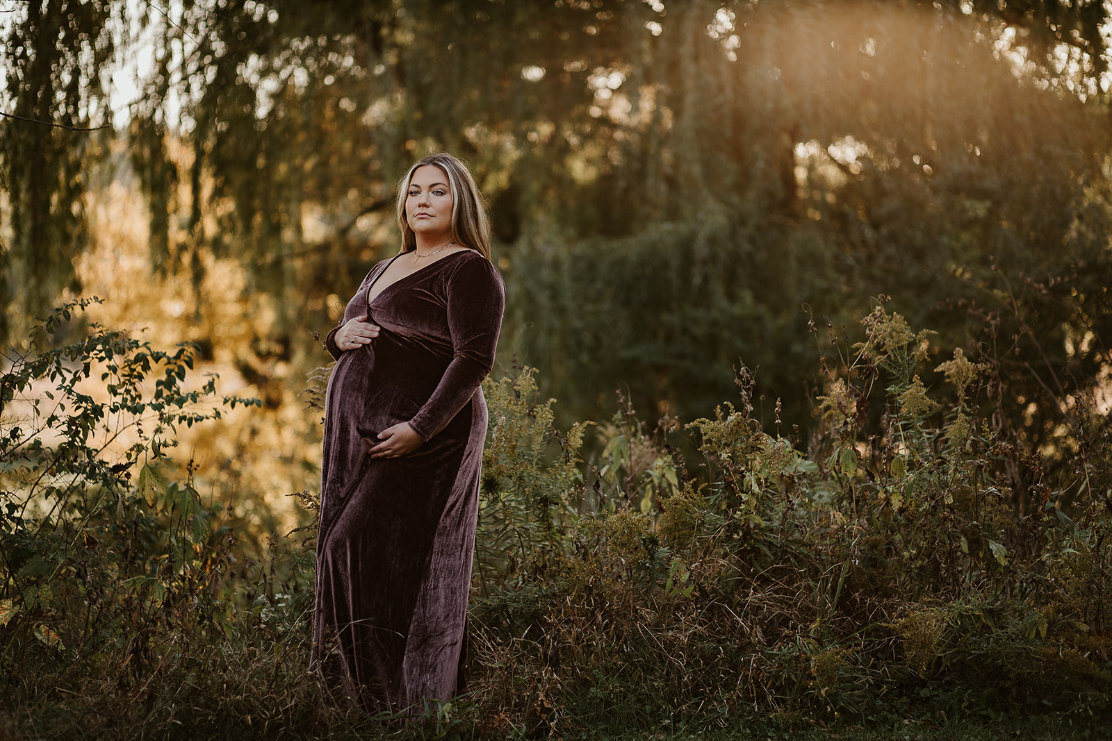 Pregnant woman in a purple velvet dress holds her belly as she stands near the willow trees in Fall