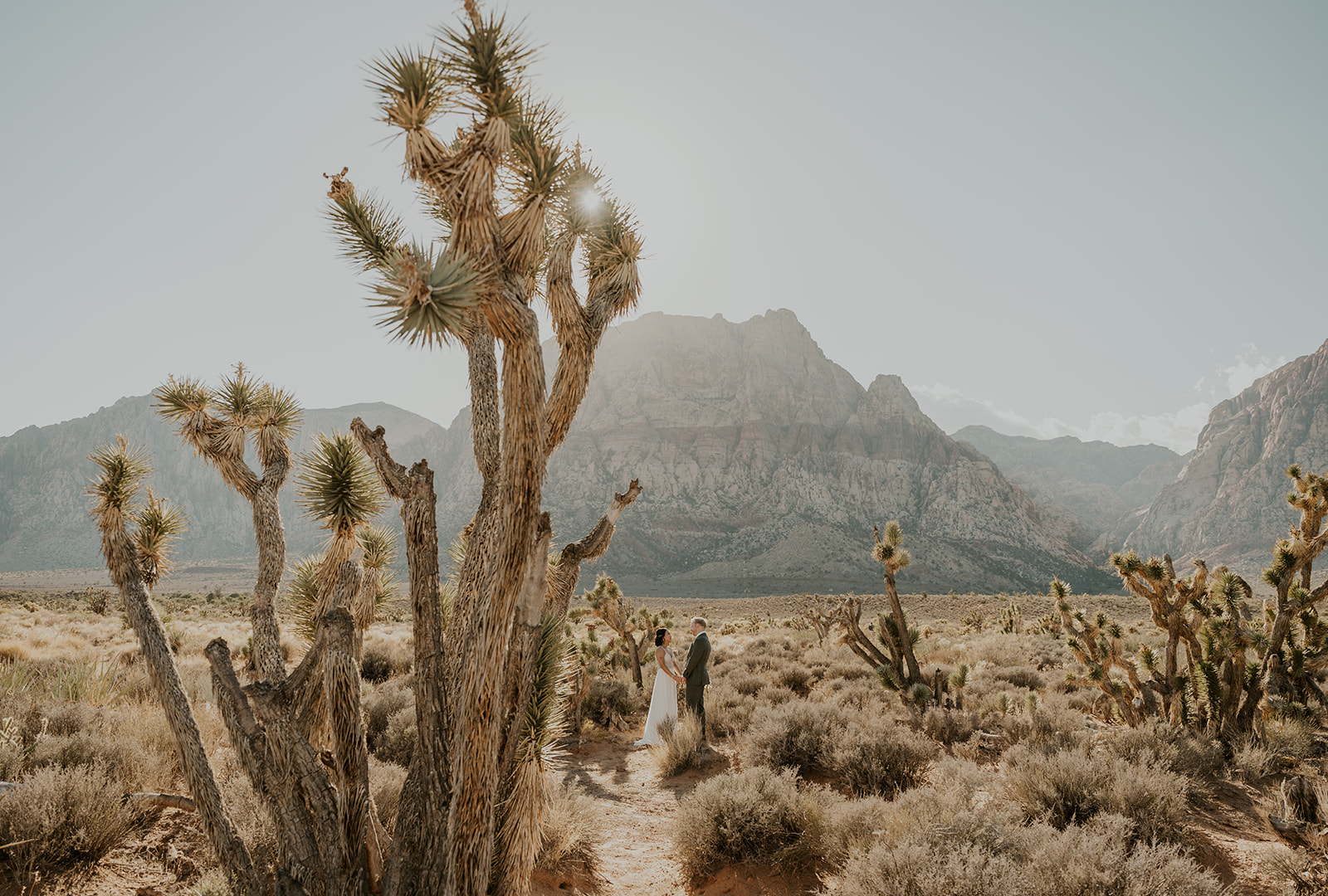 A couple who eloped at Red Rock Canyon in Las Vegas