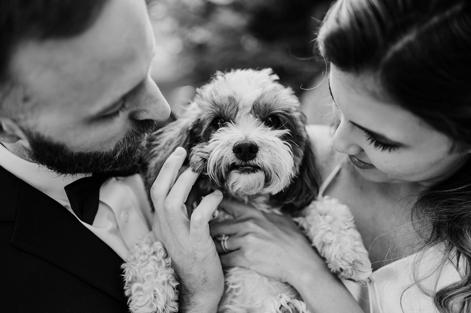 Wedding Couple with dog