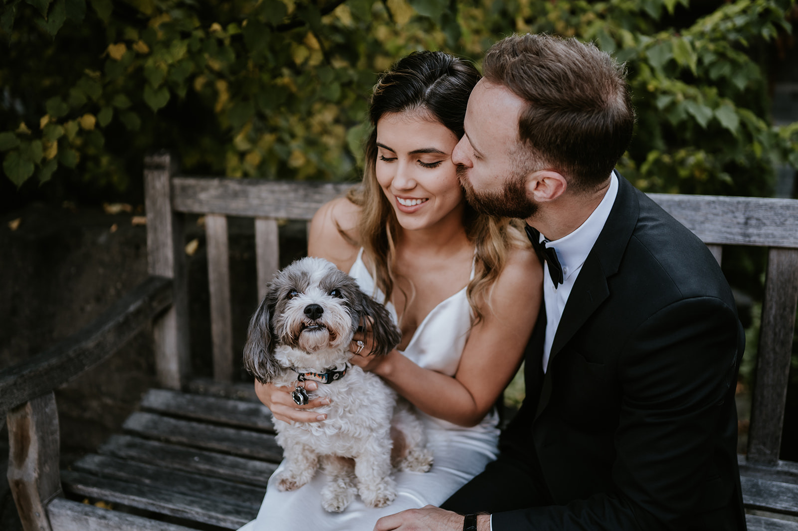Wedding Couple with dog