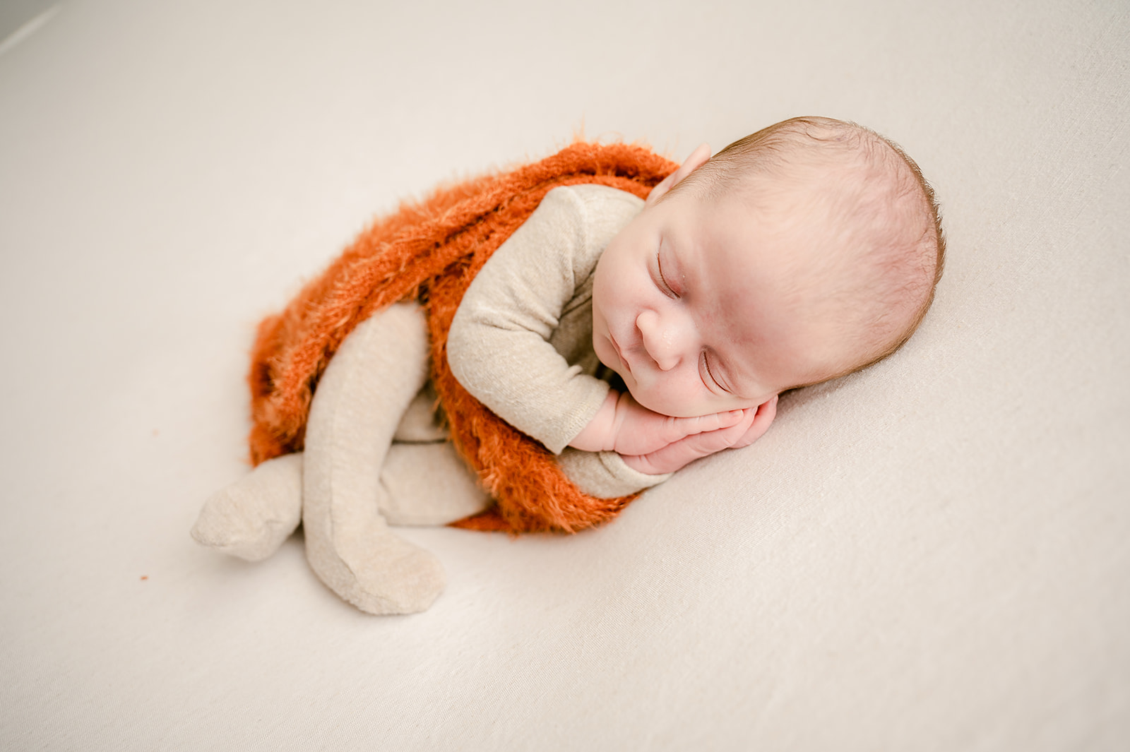 Fall newborn Session | Central Minnesota Newborn Photographer | Nicole Hollenkamp