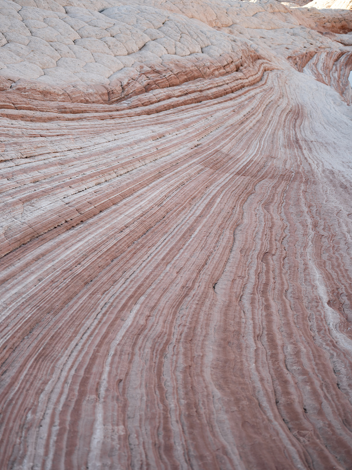 Perfect Spot in Arizona that looks like the "wave" for an elopement 