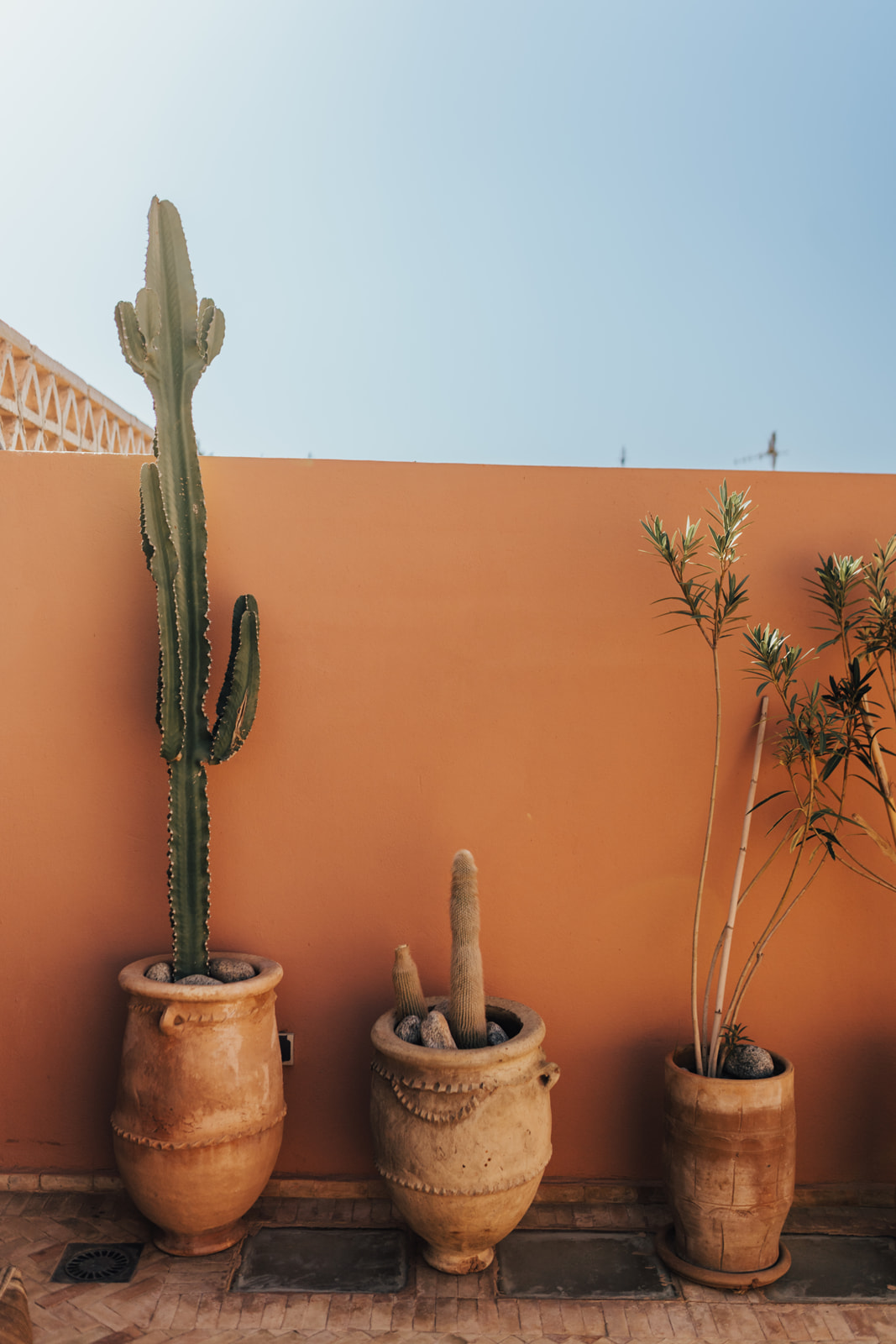 Elopement in Marrakech in Riad Be roof top garden