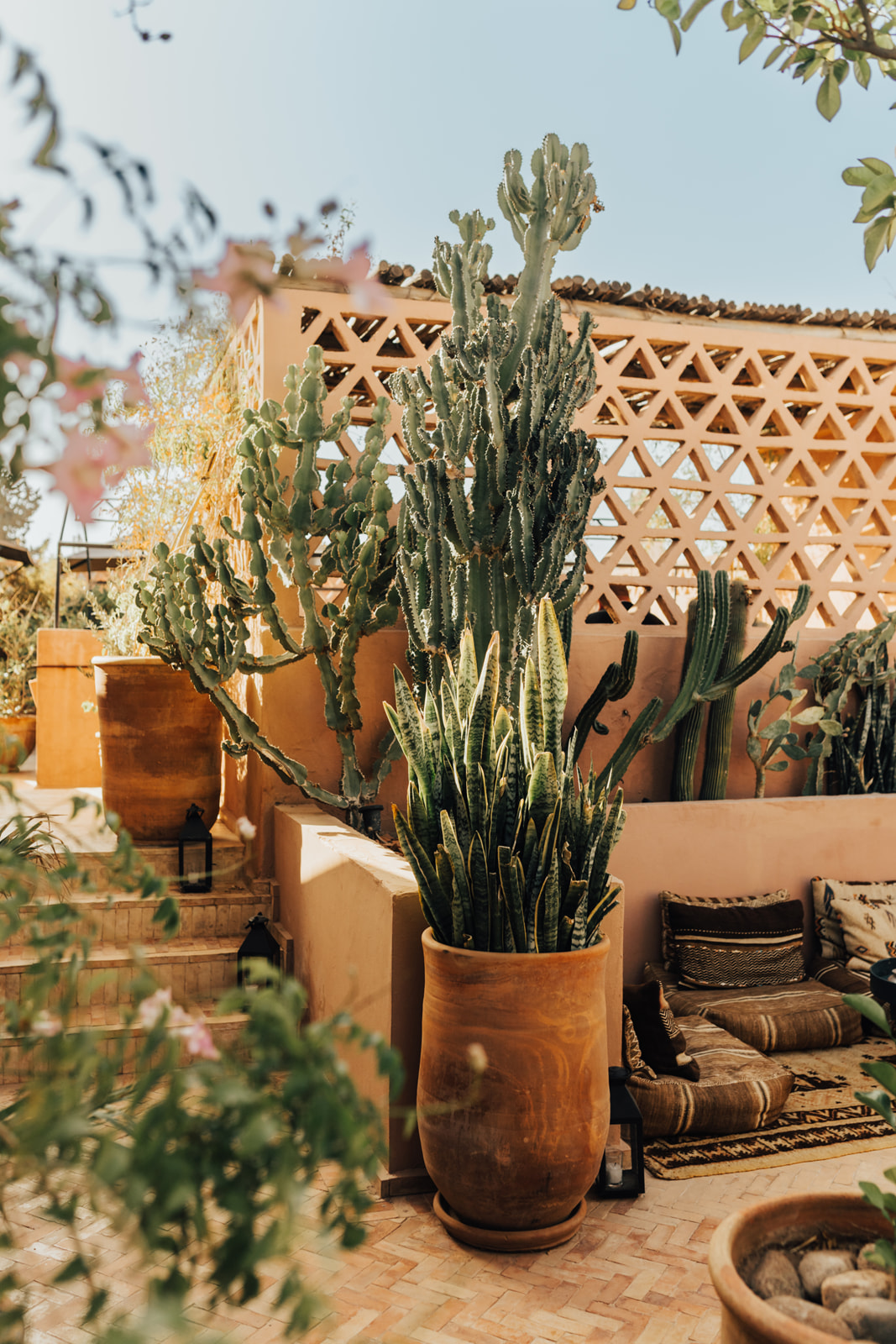 Riad Be rooftop garden in Marrakech