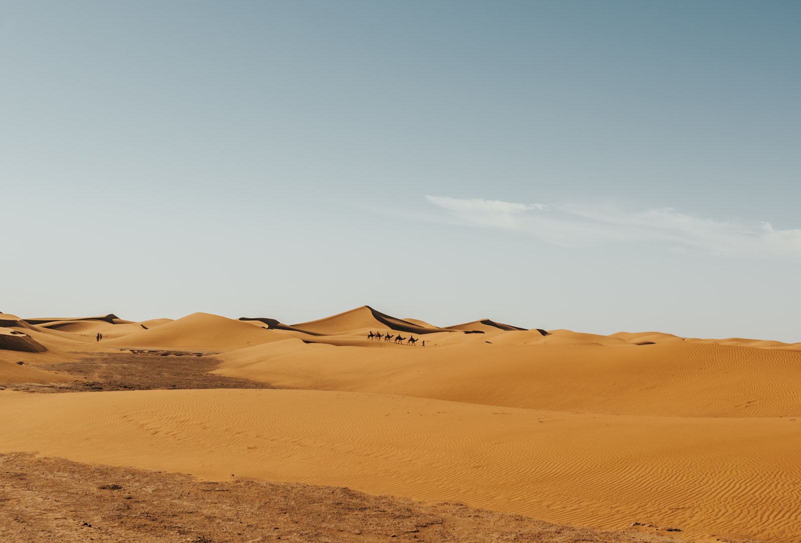 Sahara desert luxury camp site camel ride